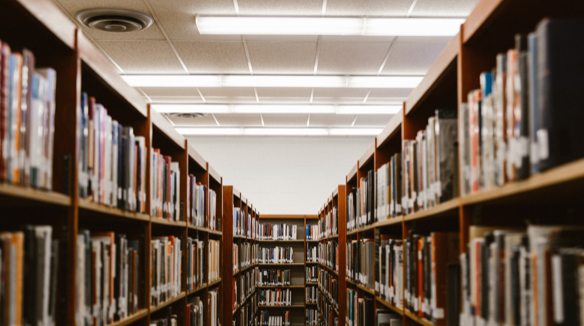 Equestrian Switchable dynamic strategy