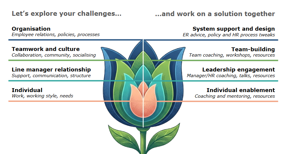 Diagram of 5 concentric tulips, each labelled with 4 HR challenges (organisation, teamwork, line manager, individual)