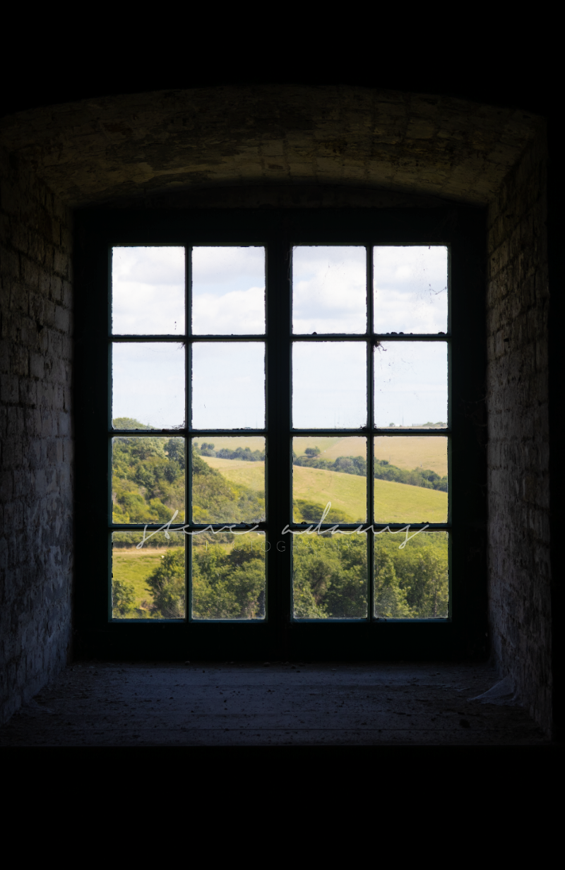 The View (Digital Download)