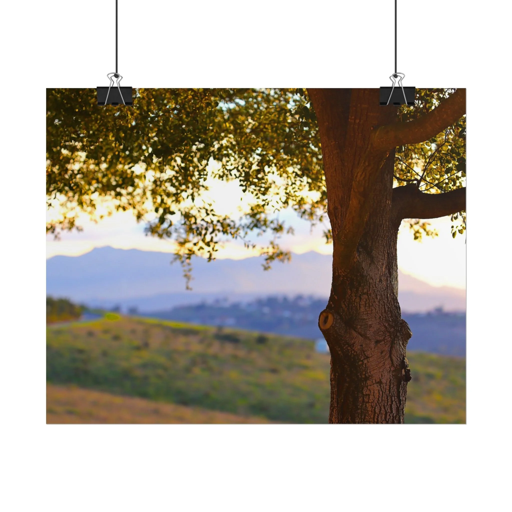 Shaded and Covered (Print)