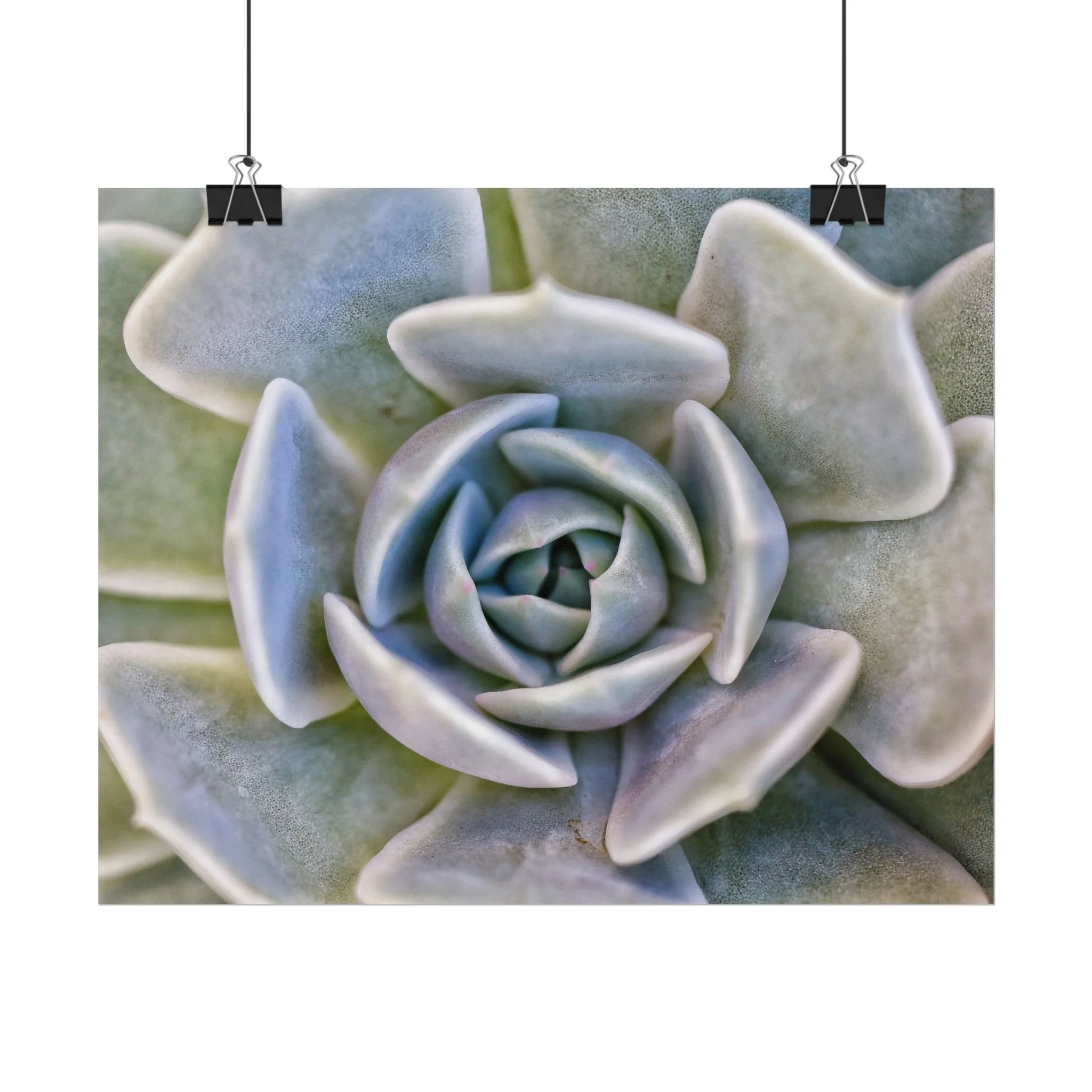 Castelo Branco (Print)