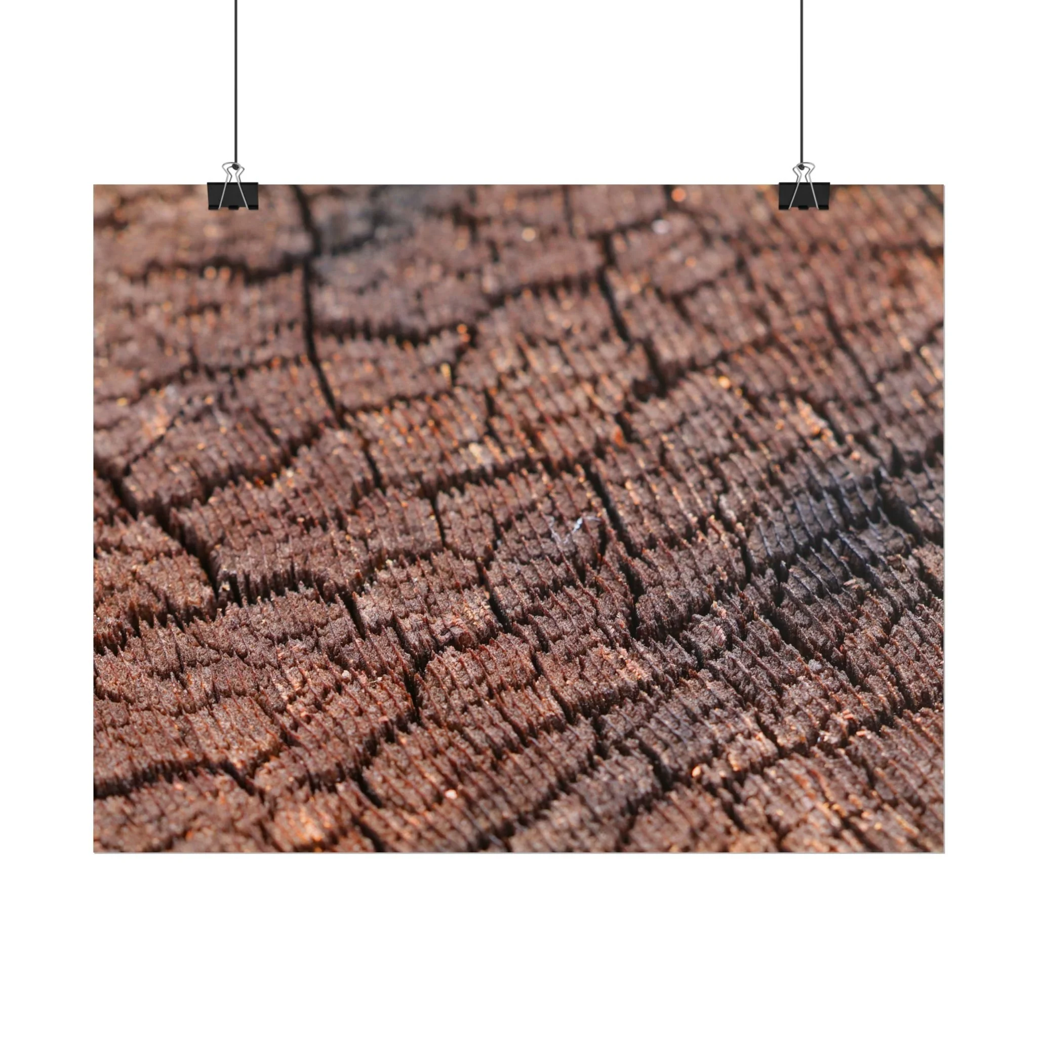 Grain and Grit (Print)