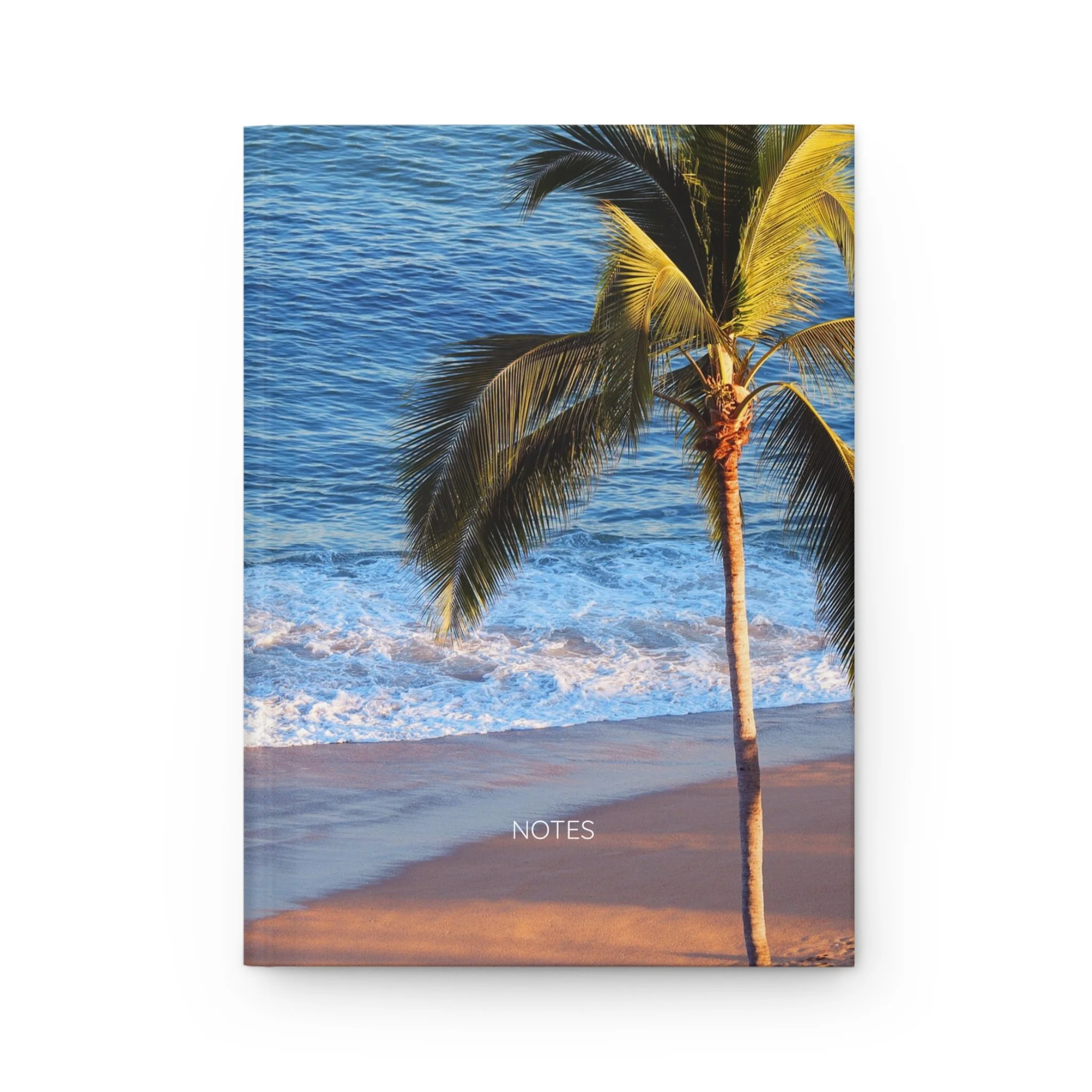 Morning In PV Notebook