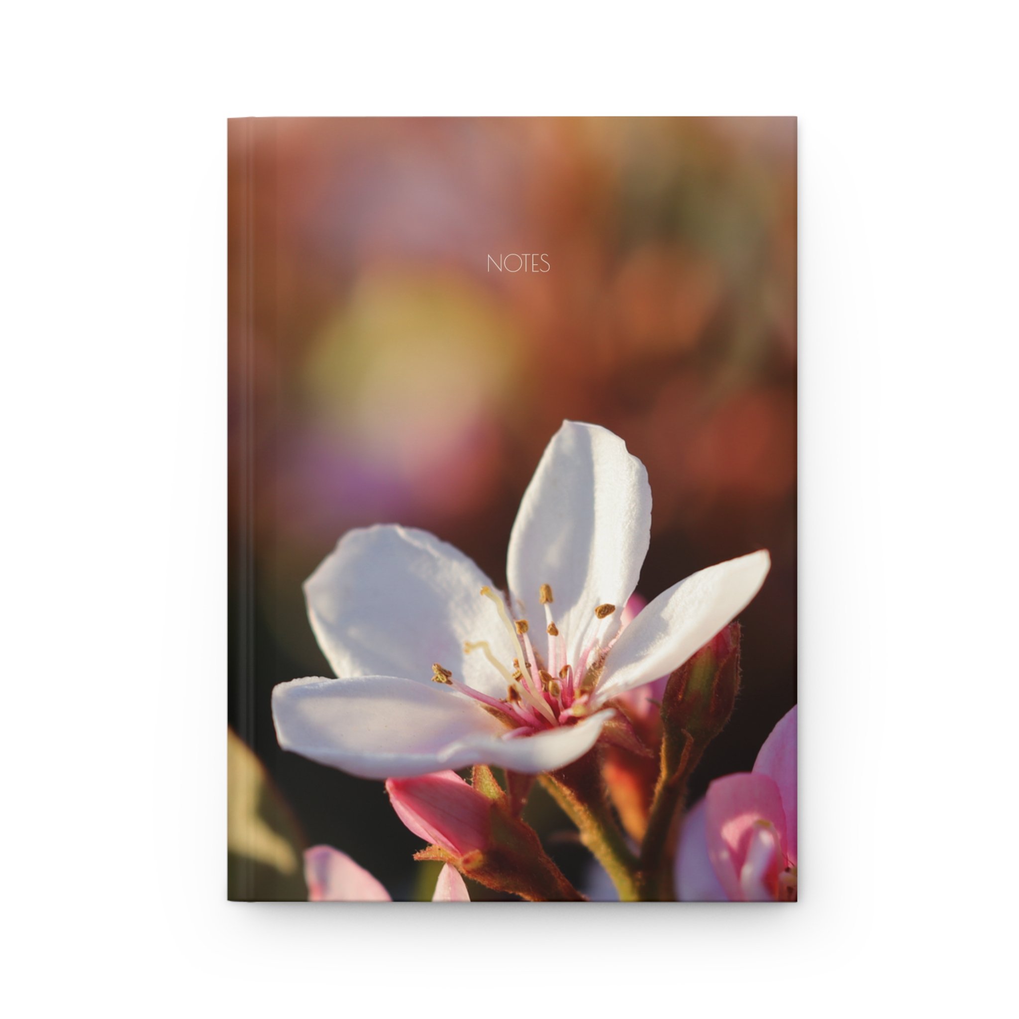 Indian Hawthorne Notebook