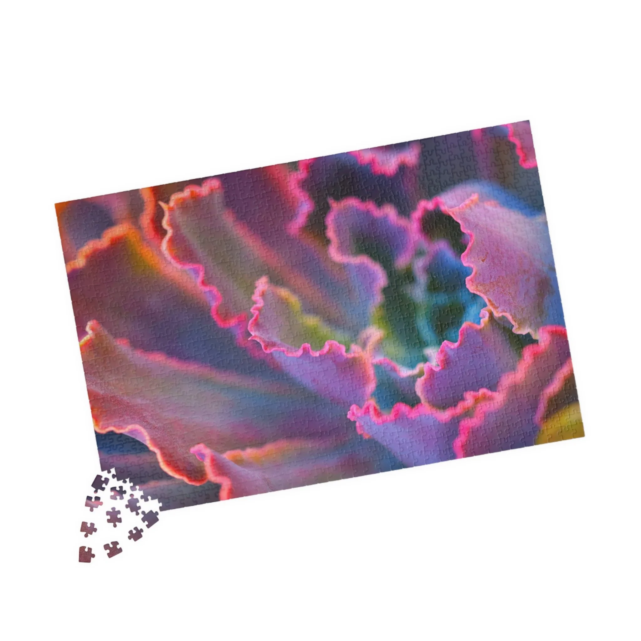 Rainbow Succulent Puzzle (1014-piece)