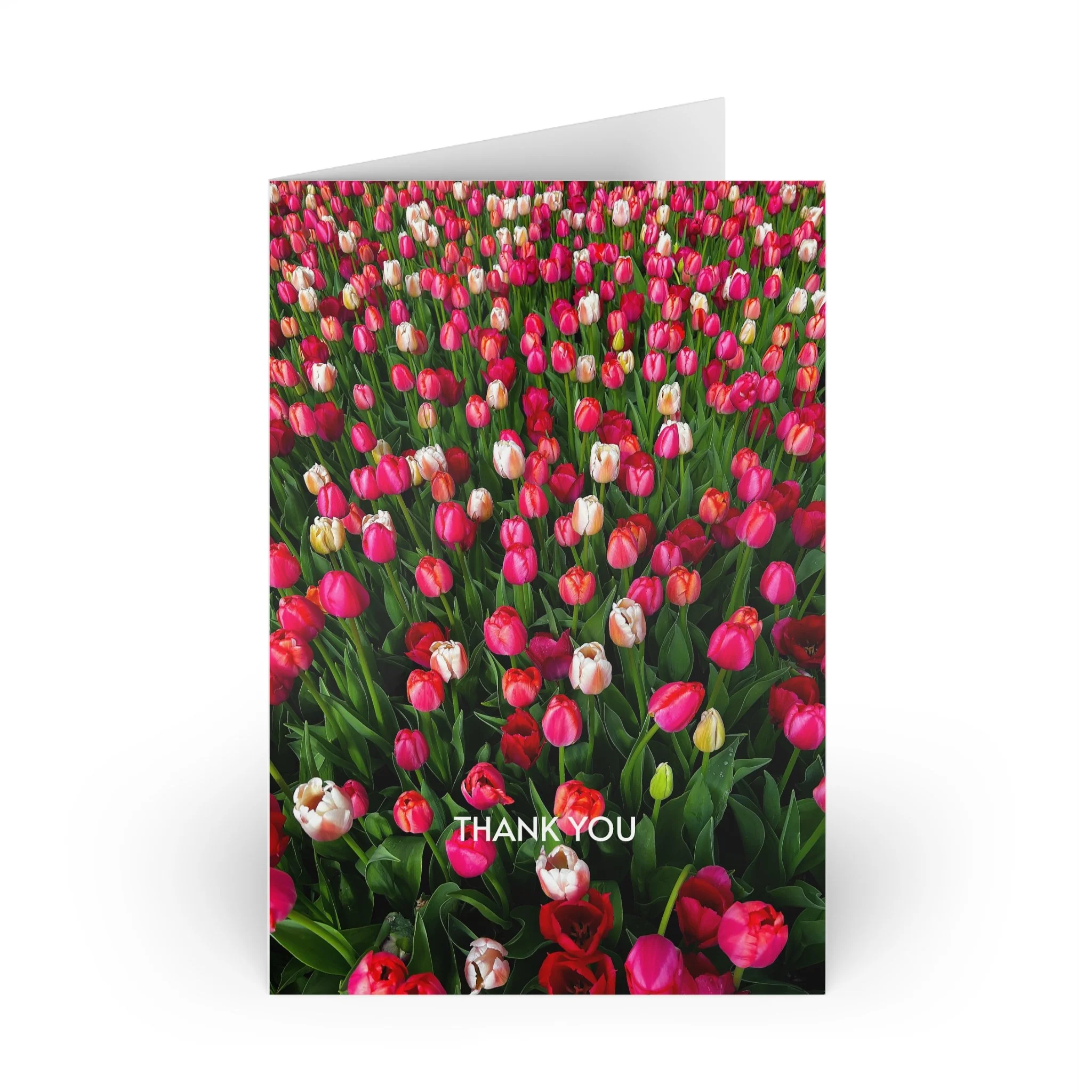 Tulip Field Thank You Cards (Set of 10)
