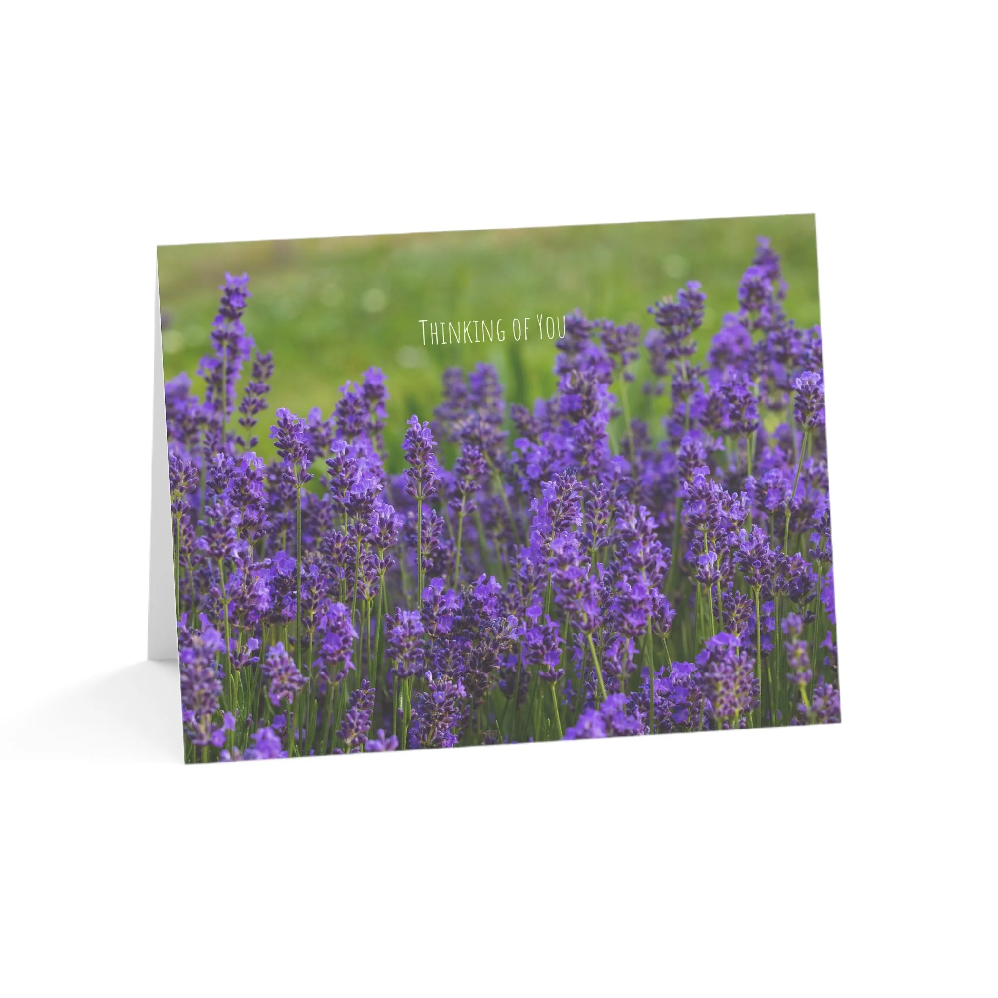 Purple Fields Greeting Cards (Set of 10)