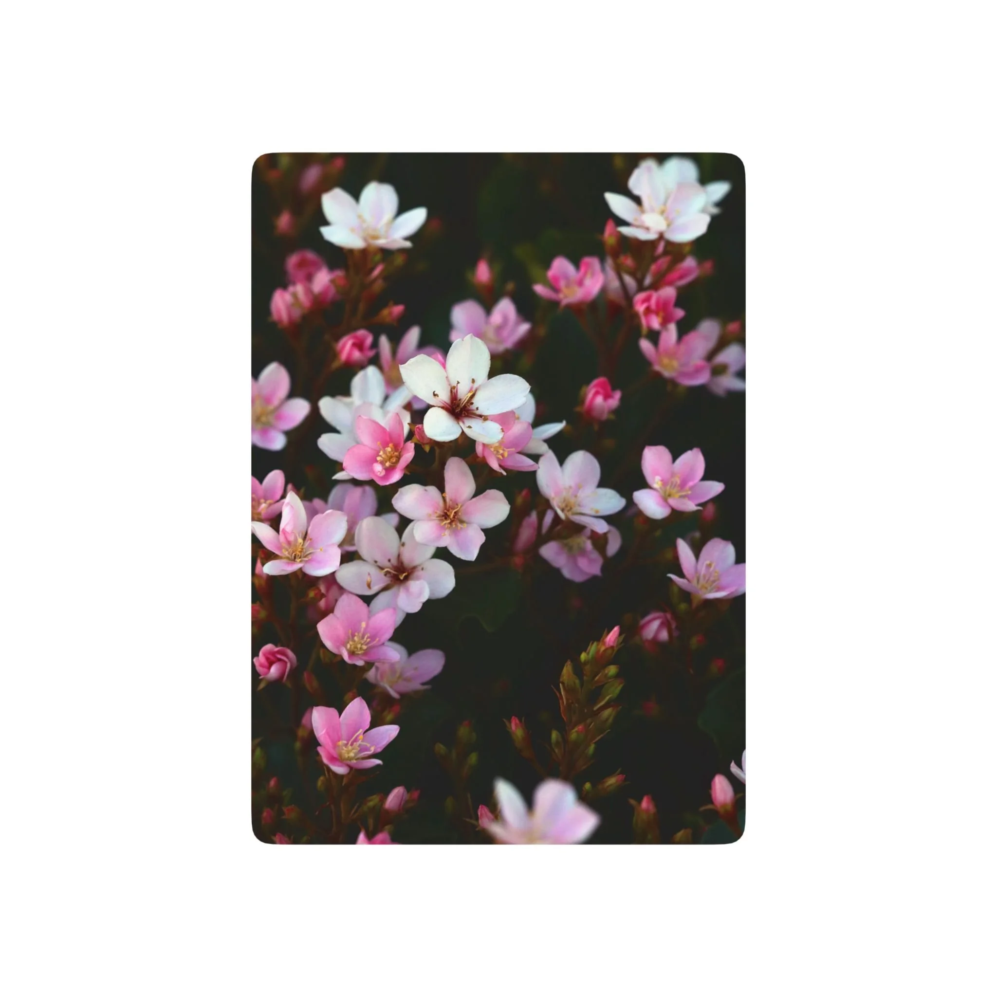 Hawthorne's Blush Playing Cards