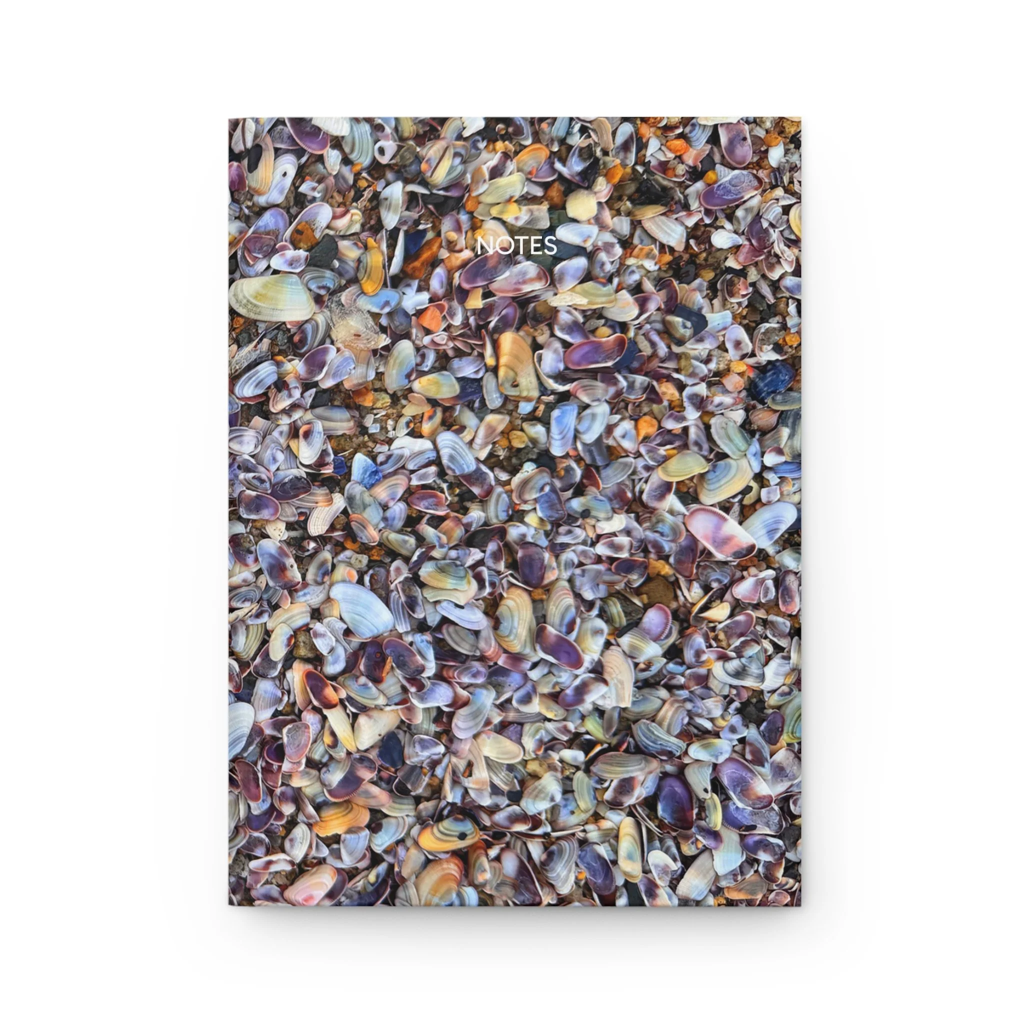 Seashell Notebook