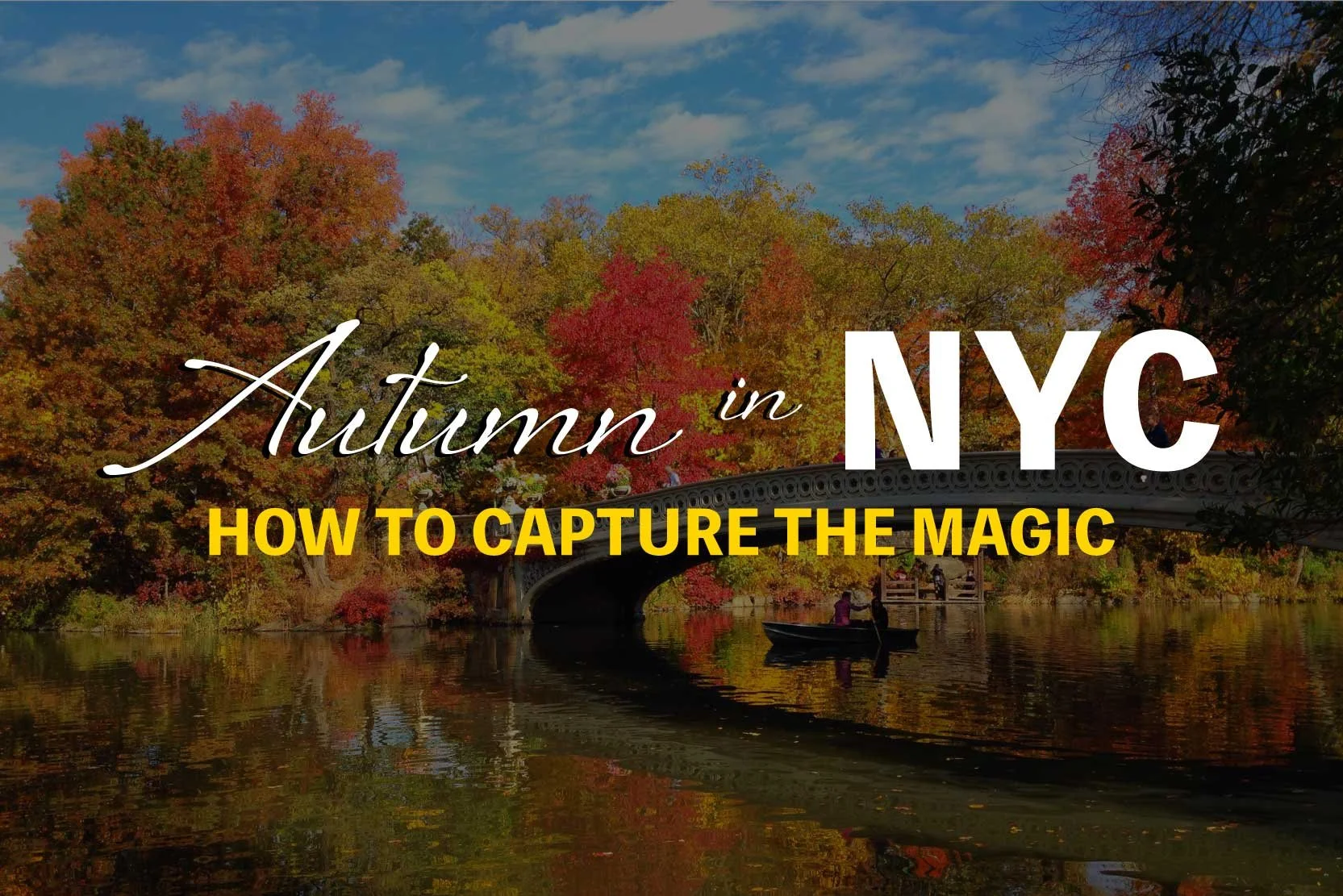 Autumn in NYC: How to Capture the Magic