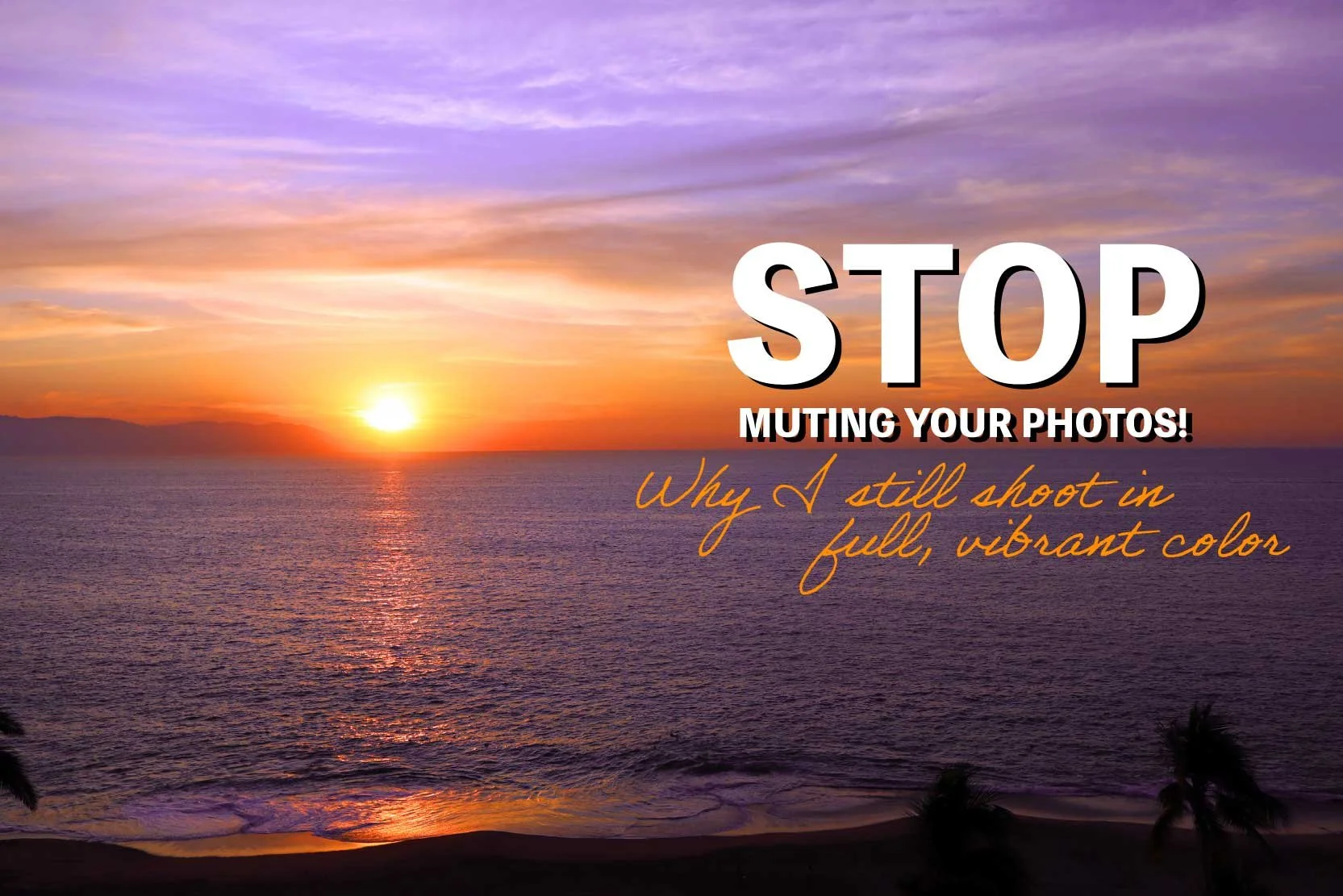 Stop Muting Your Photos! Why I Still Shoot in Full, Vibrant Color