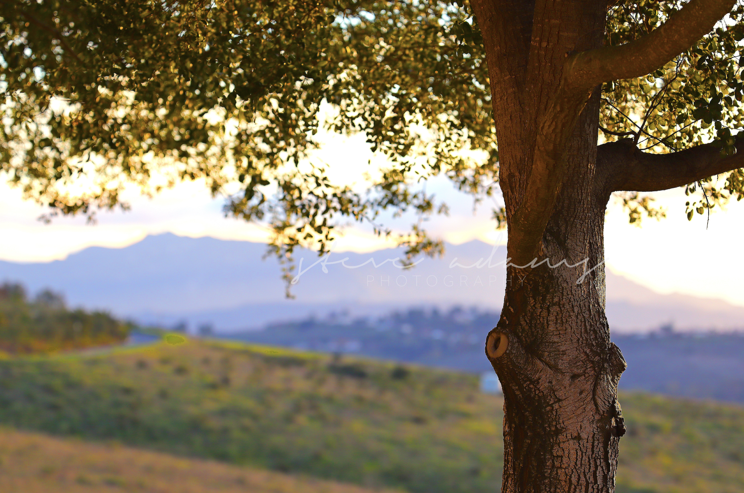 Sentinel of the Hills (Digital Download)