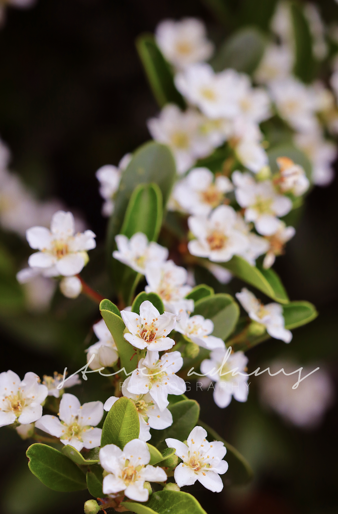 Screenshot 2026-01-19 at 8.40.34 PM.png