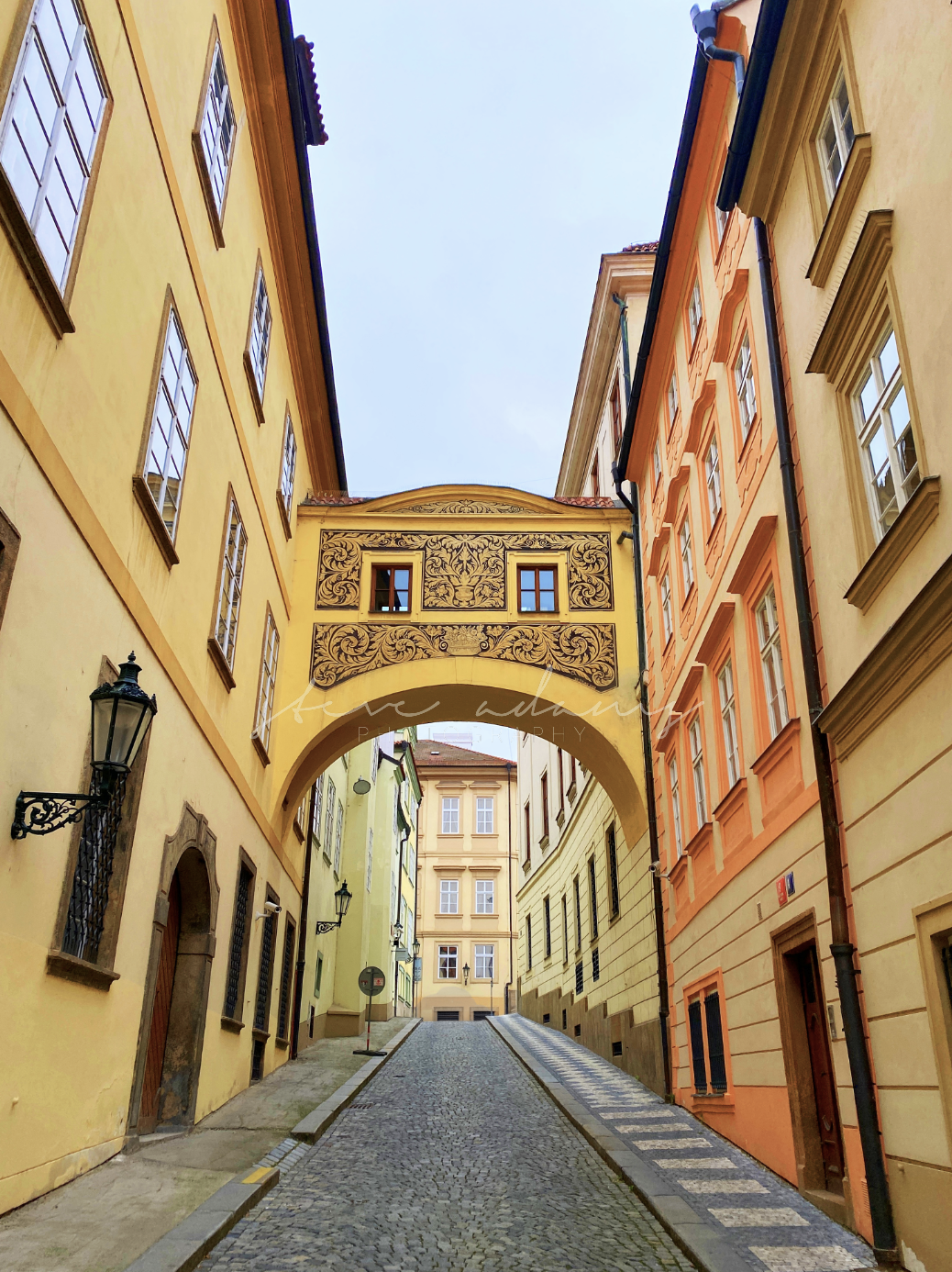 Golden Row (Digital Download)