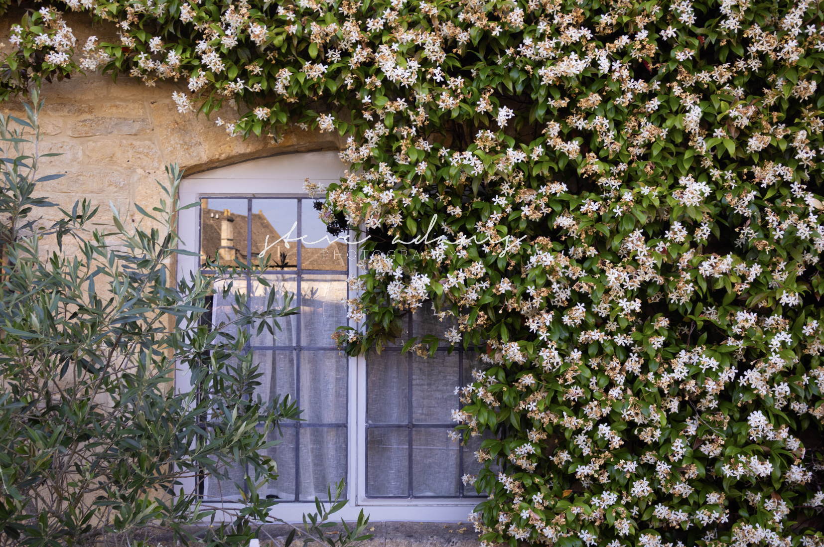 Jasmine Cottage (Digital Download)