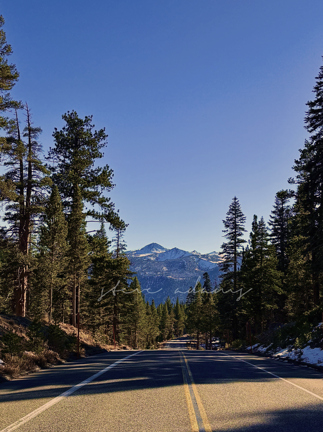 Screenshot 2026-03-23 at 11.11.16 AM.png