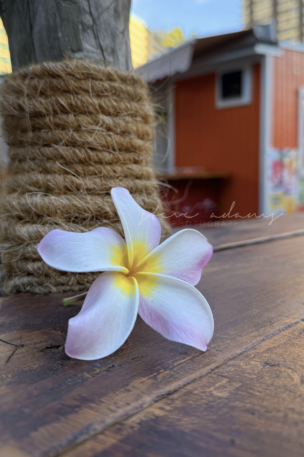 Screenshot 2026-03-23 at 10.38.50 AM.png