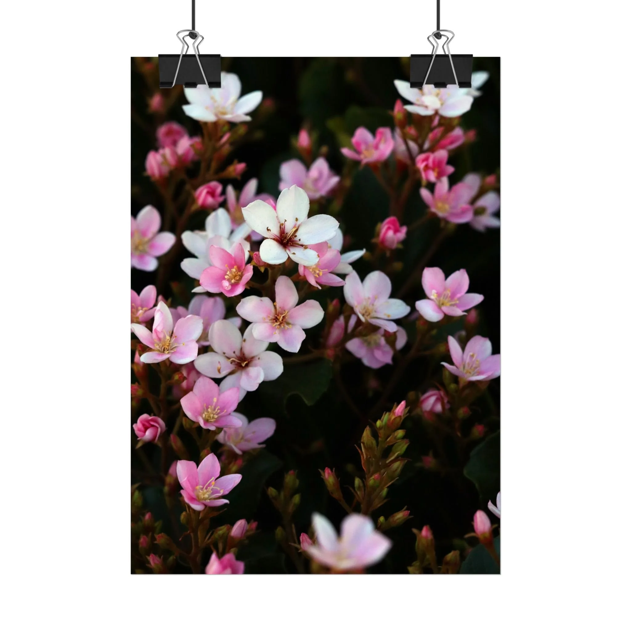 Front 2, 5_ x 7_ (Vertical), Semi Glossy.jpg