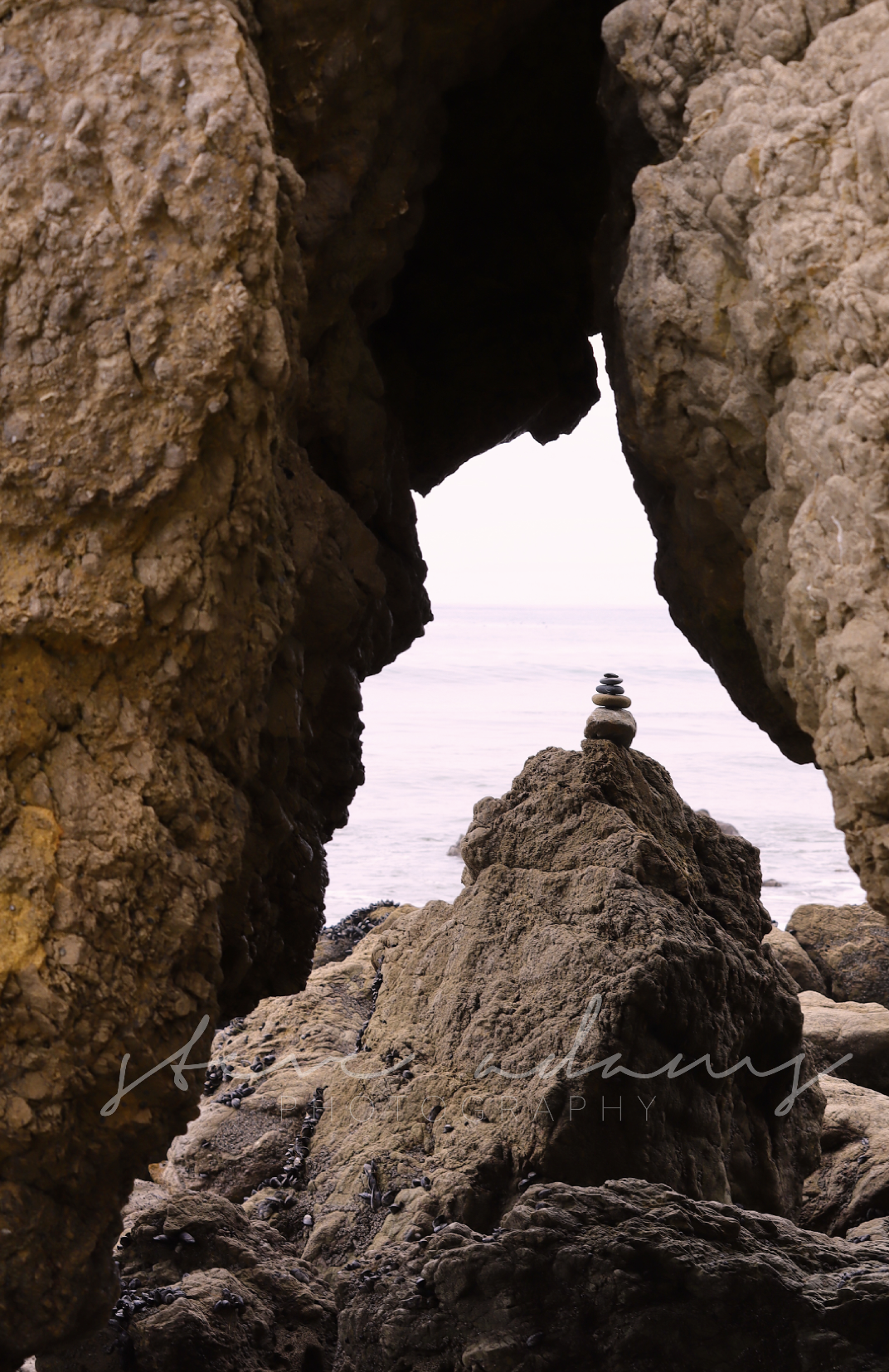 Screenshot 2026-01-19 at 8.21.49 PM.png