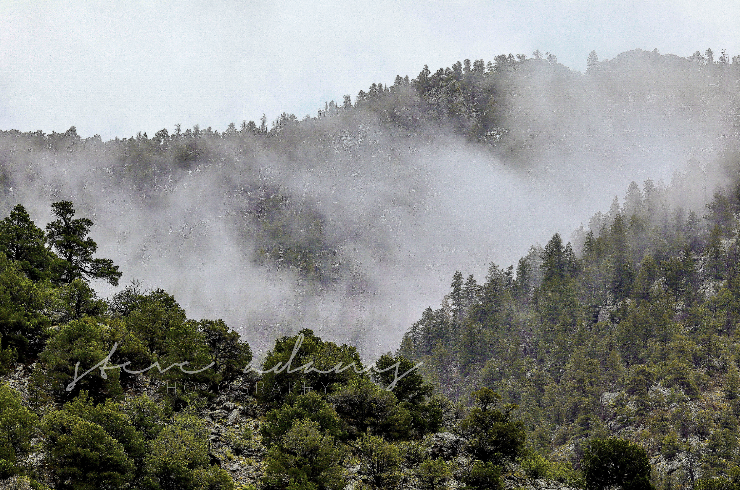 Mountain Fog (Digital Download)