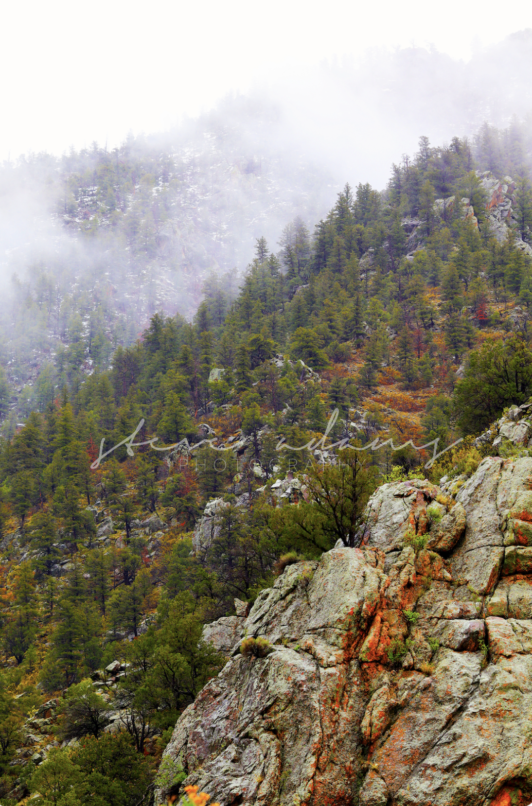 Screenshot 2026-01-19 at 8.33.41 PM.png