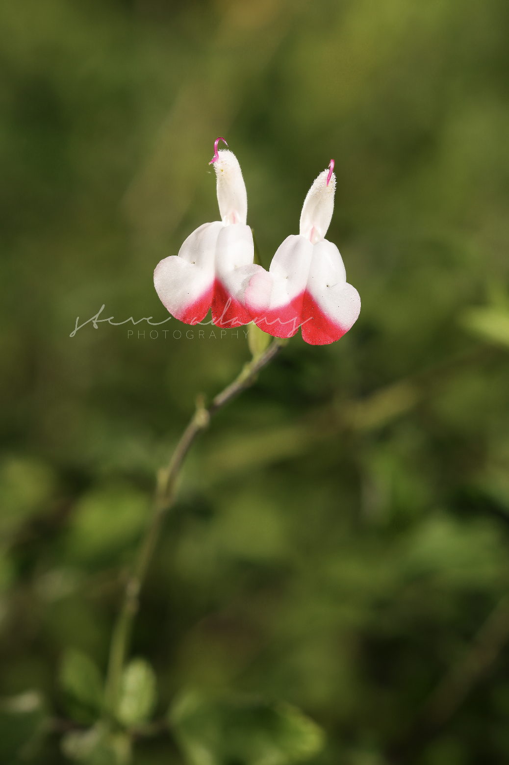 Screenshot 2026-03-23 at 10.19.08 AM.png