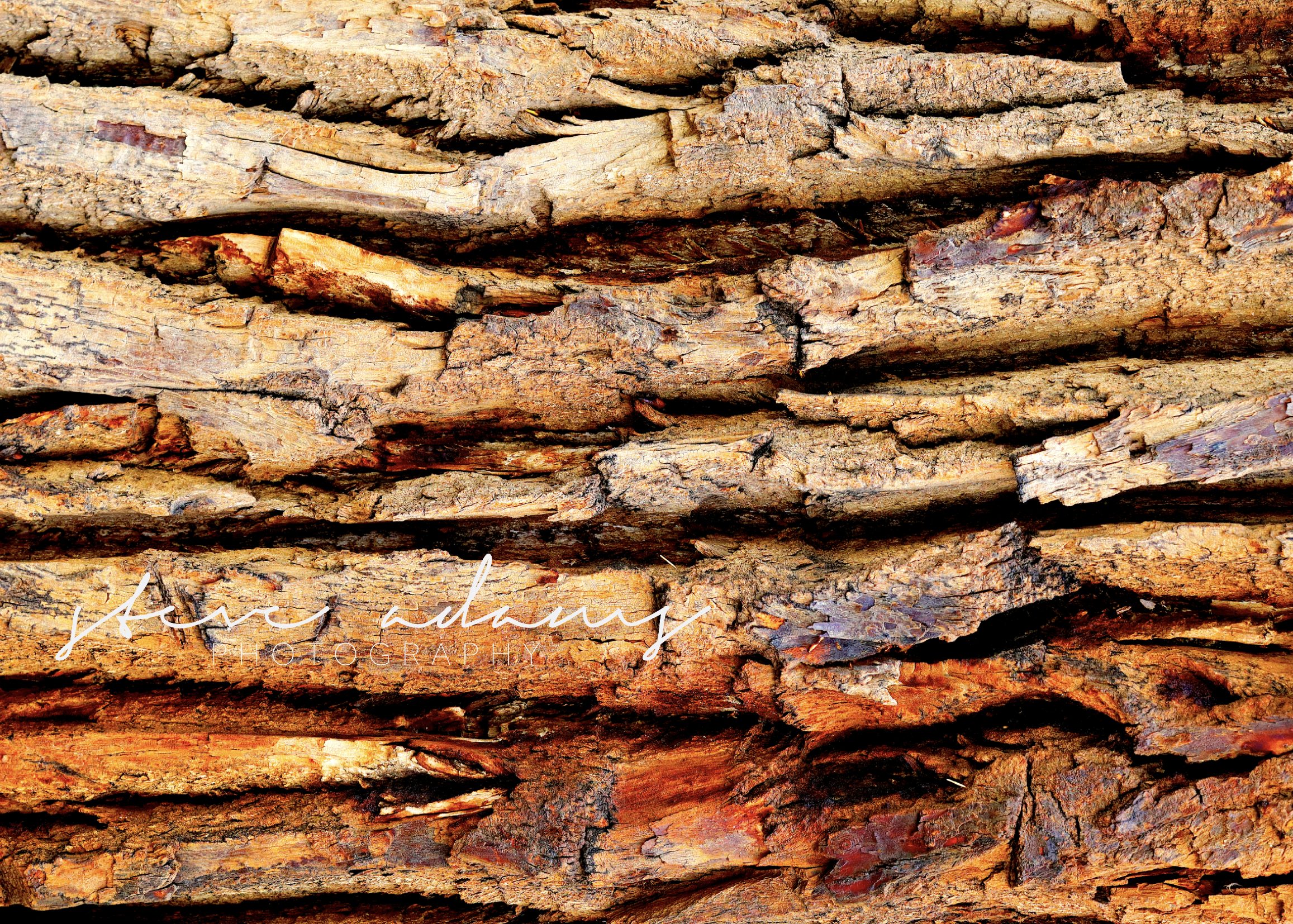 Screenshot 2026-01-19 at 8.20.45 PM.png