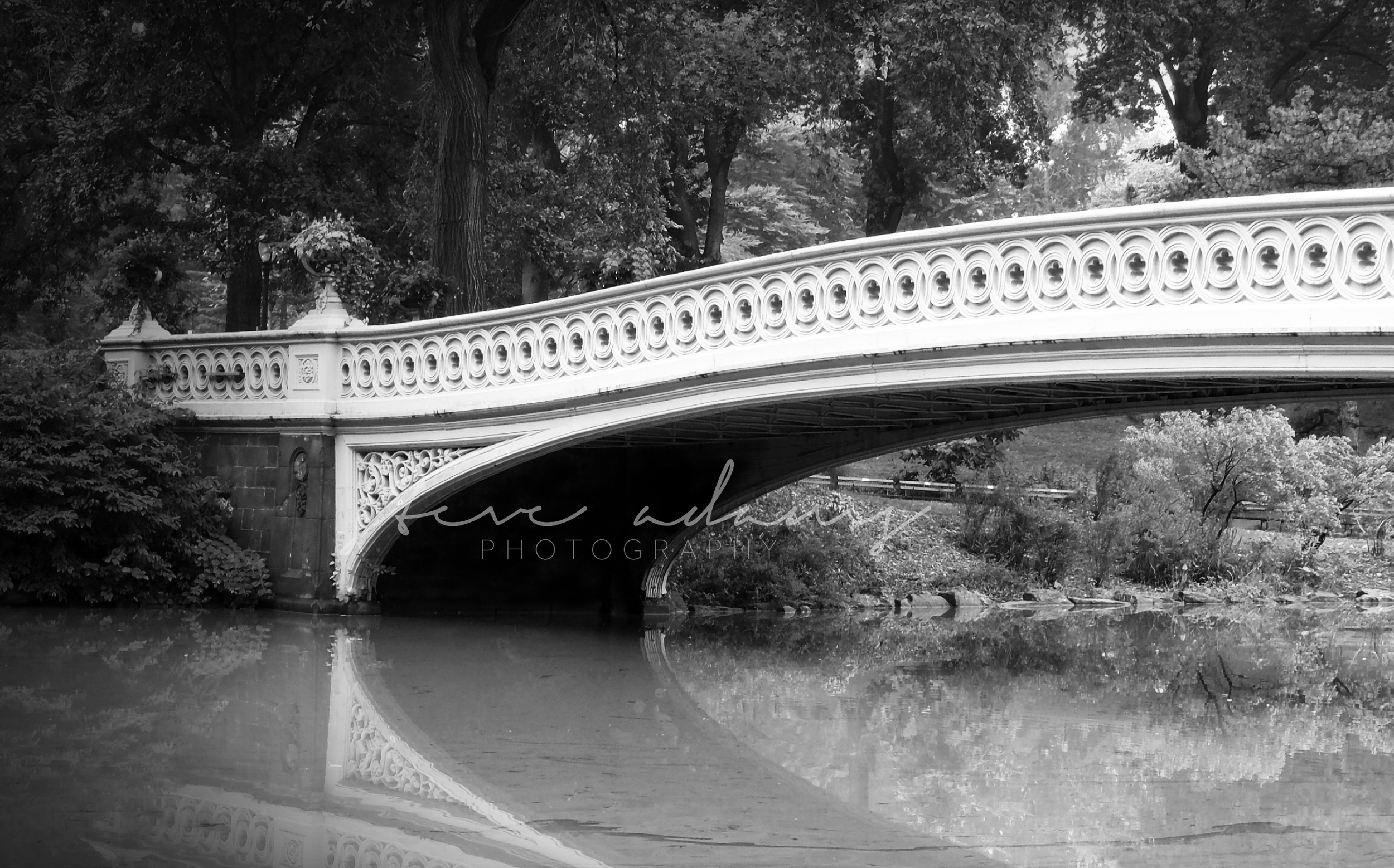 Bow Bridge (Digital Download)