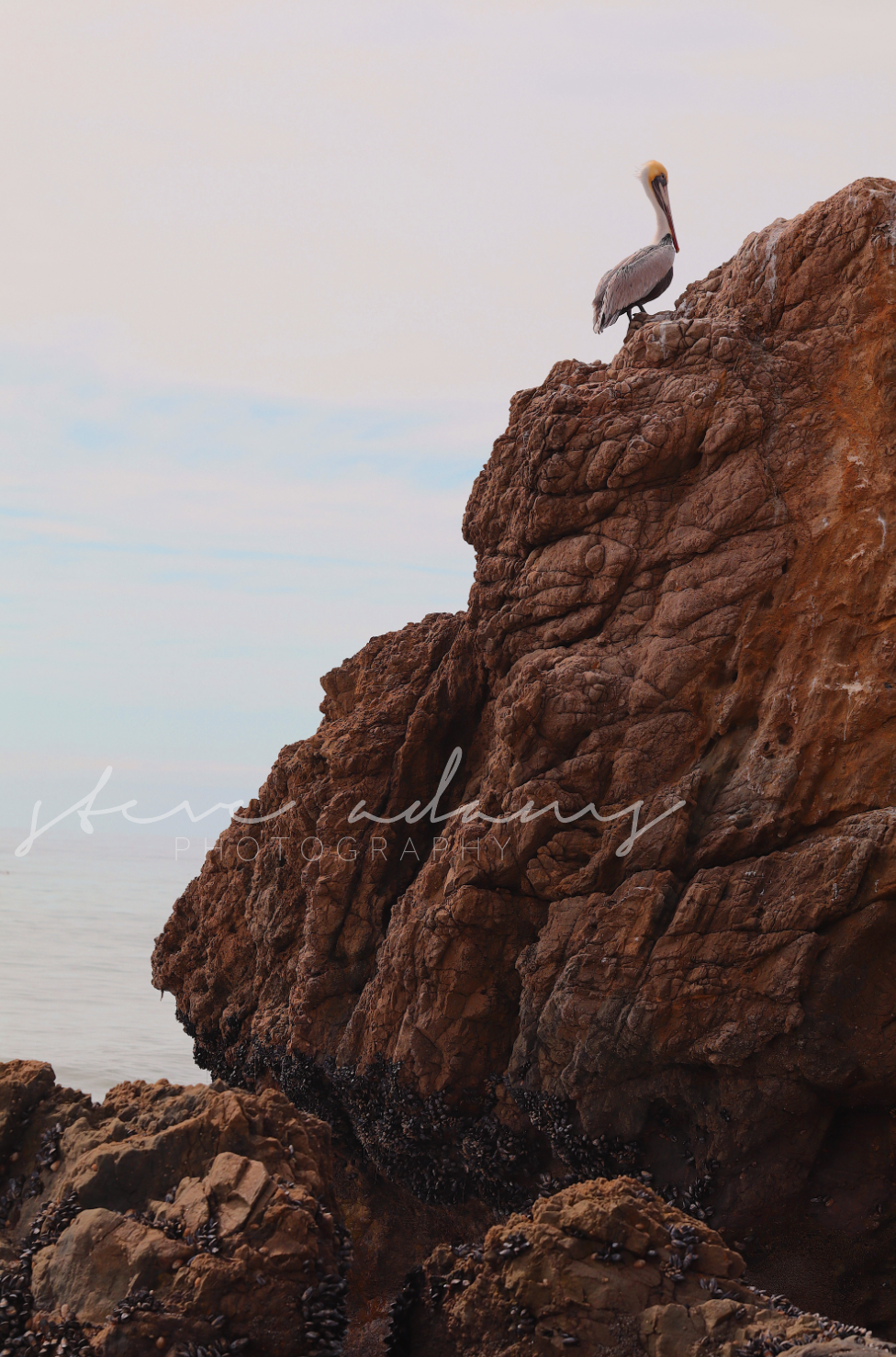 Screenshot 2026-01-20 at 3.17.18 PM.png