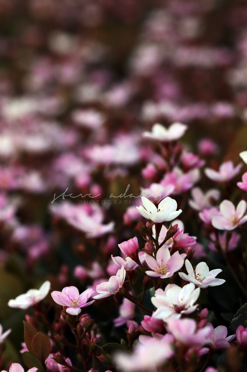 Screenshot 2026-03-23 at 10.17.56 AM.png