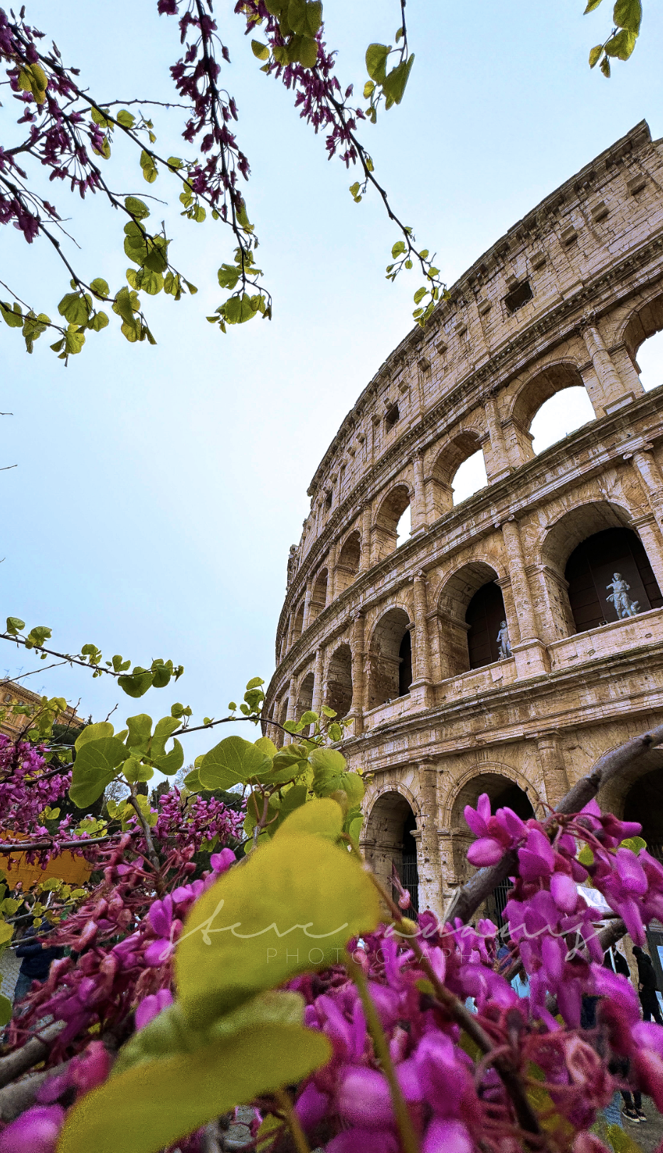 Colosseum in Bloom (Digital Download)