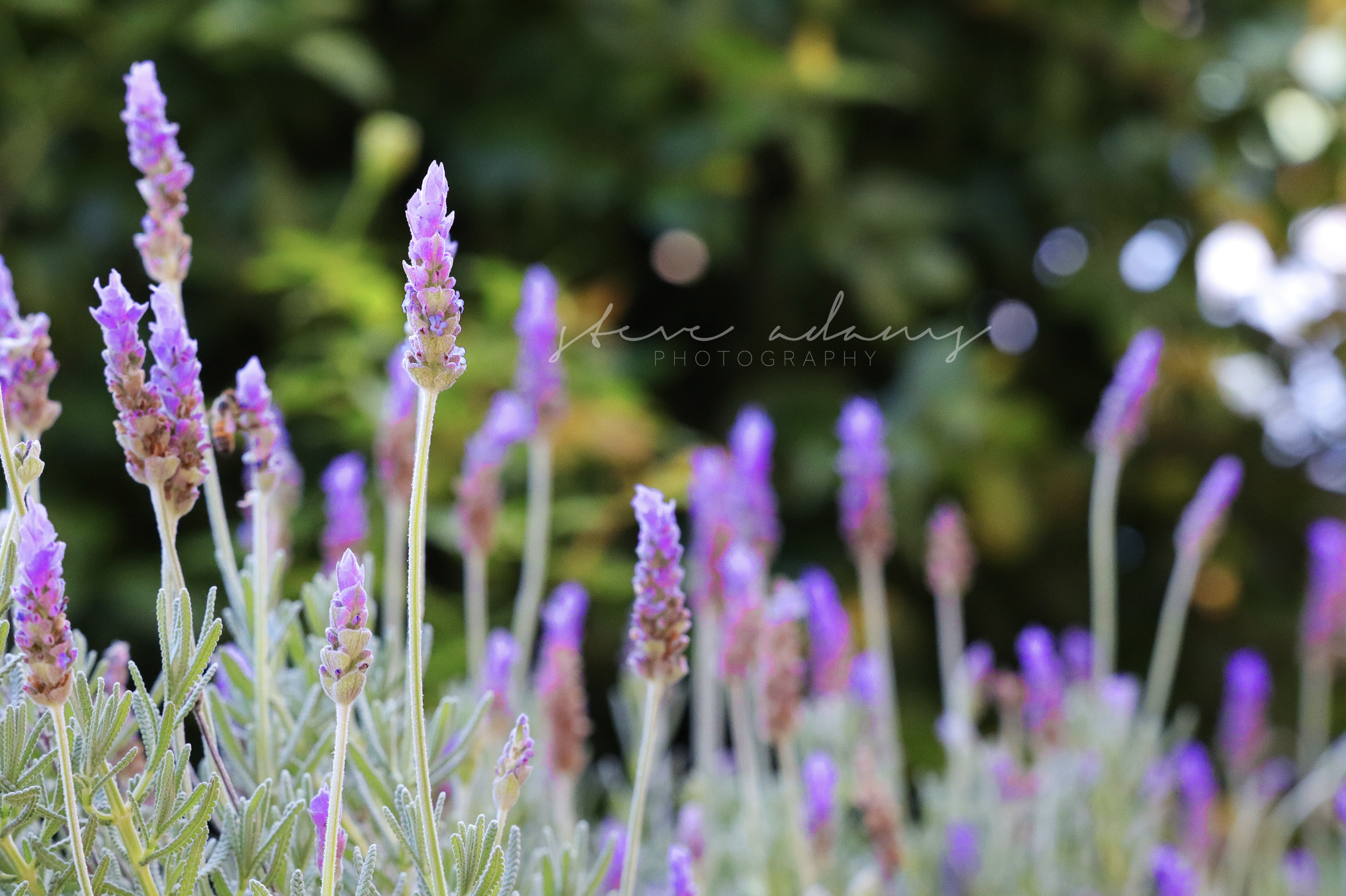 Screenshot 2026-03-23 at 8.55.41 AM.png