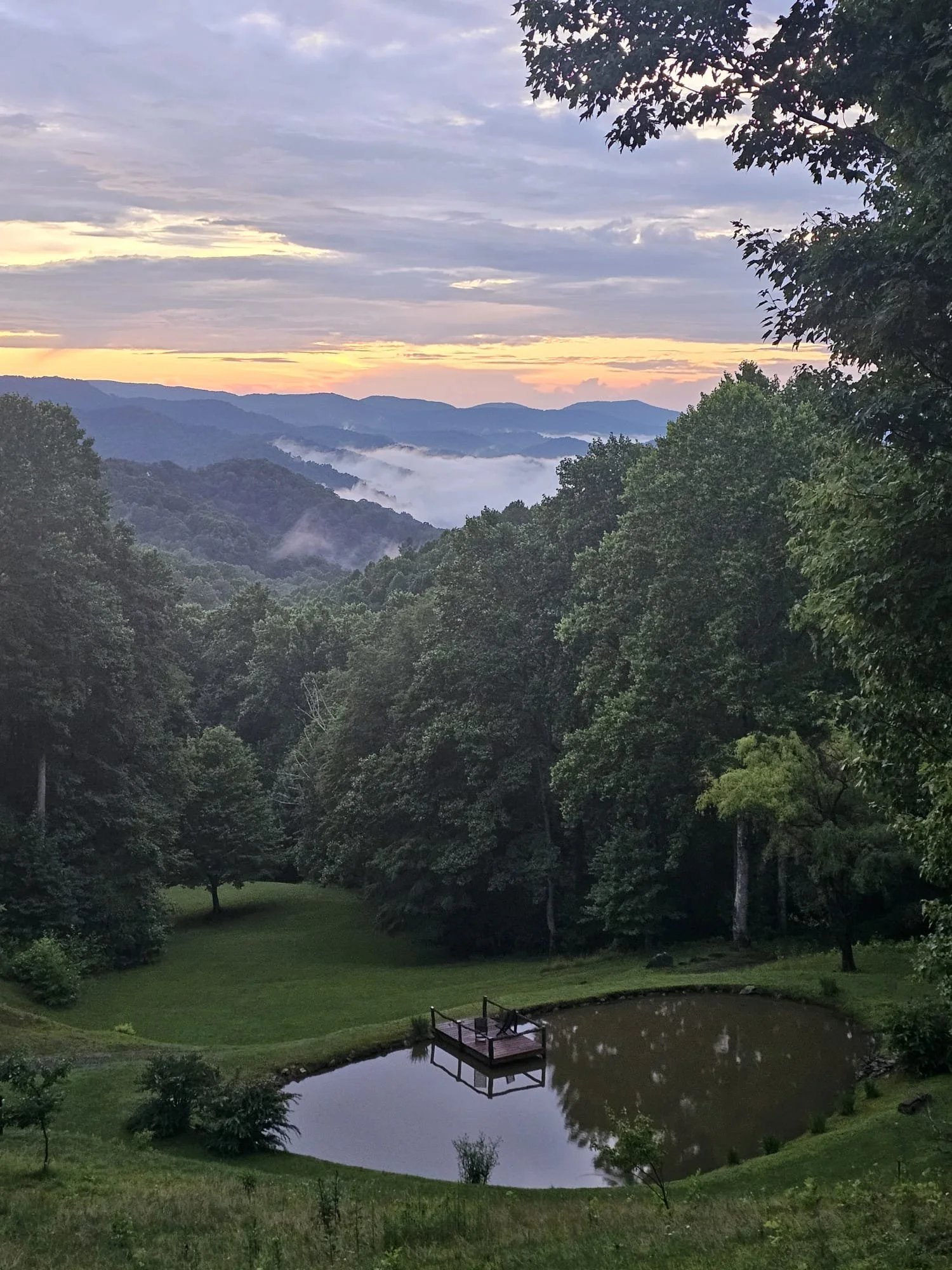 View from the main house and hammock area.  You will be staying in the forest cabin and will have access to all the grounds.