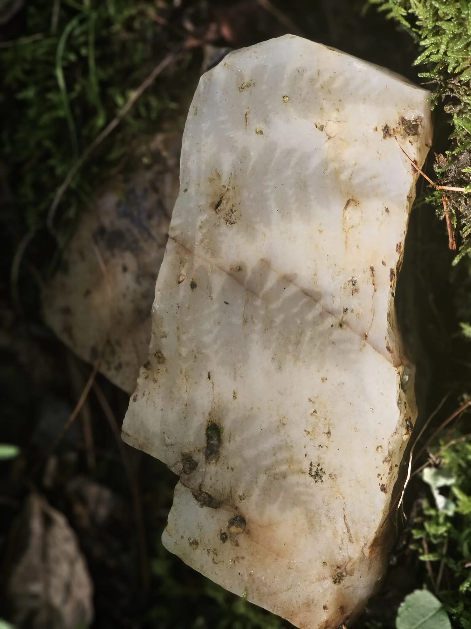 There is quartz spilling out of the earth holding this sacred land at a very special frequency