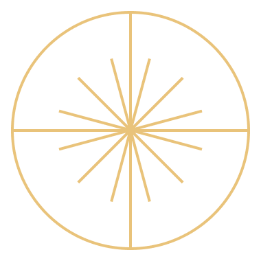 An abstract outline icon with a starburst contained within a circle shape.