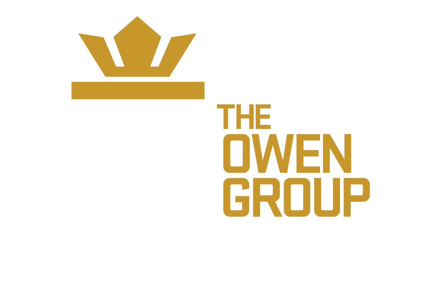 The Owen Group Inc.