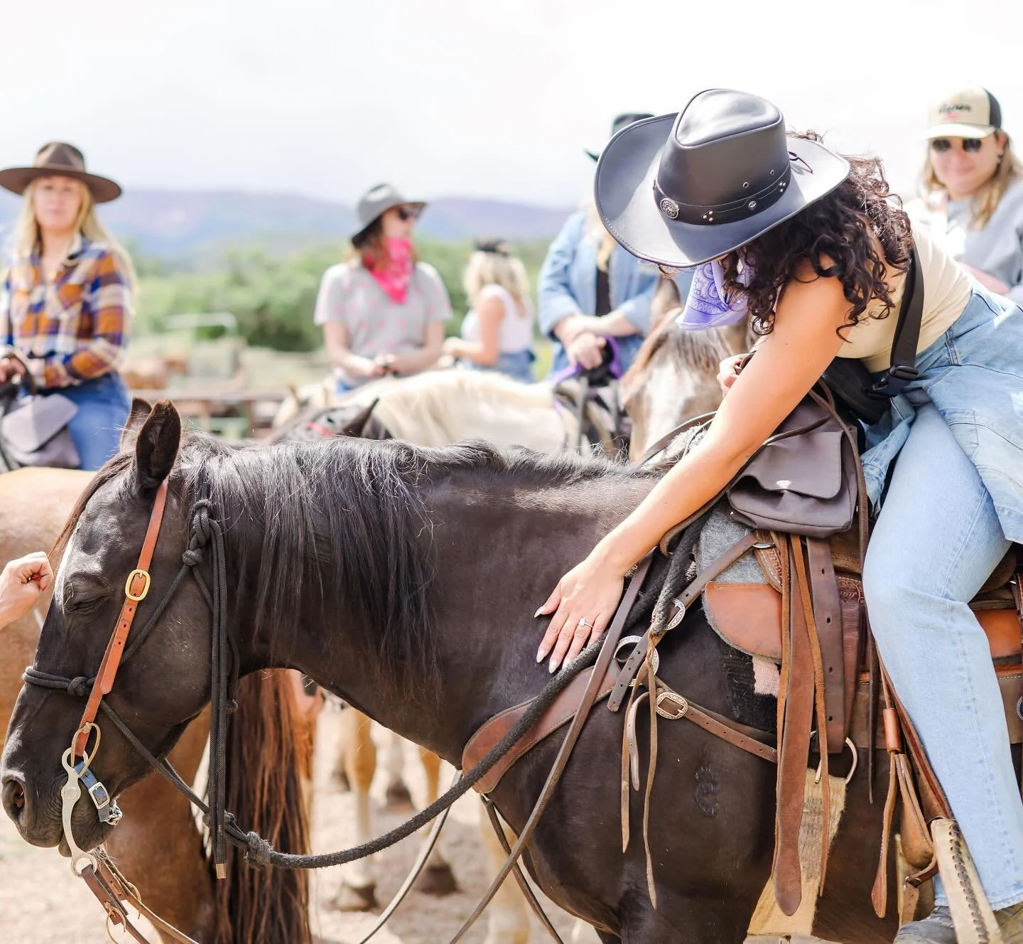 Can you pet them? Oh yeah, and they love it.

Horses actually have a calming effect on humans. Just a few minutes with one can lower your heart rate and ease stress.

So go ahead, give &lsquo;em a scratch. It&rsquo;s good for the soul (yours and thei