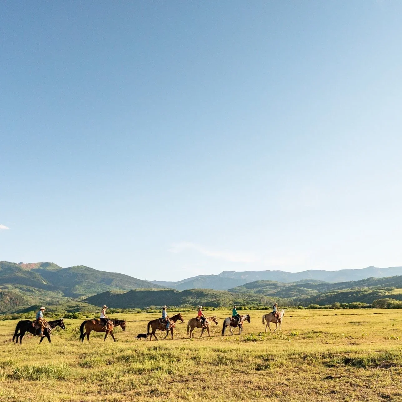 A group of seven people riding horses across an open grassy field with mountains in the background and a clear blue sky.