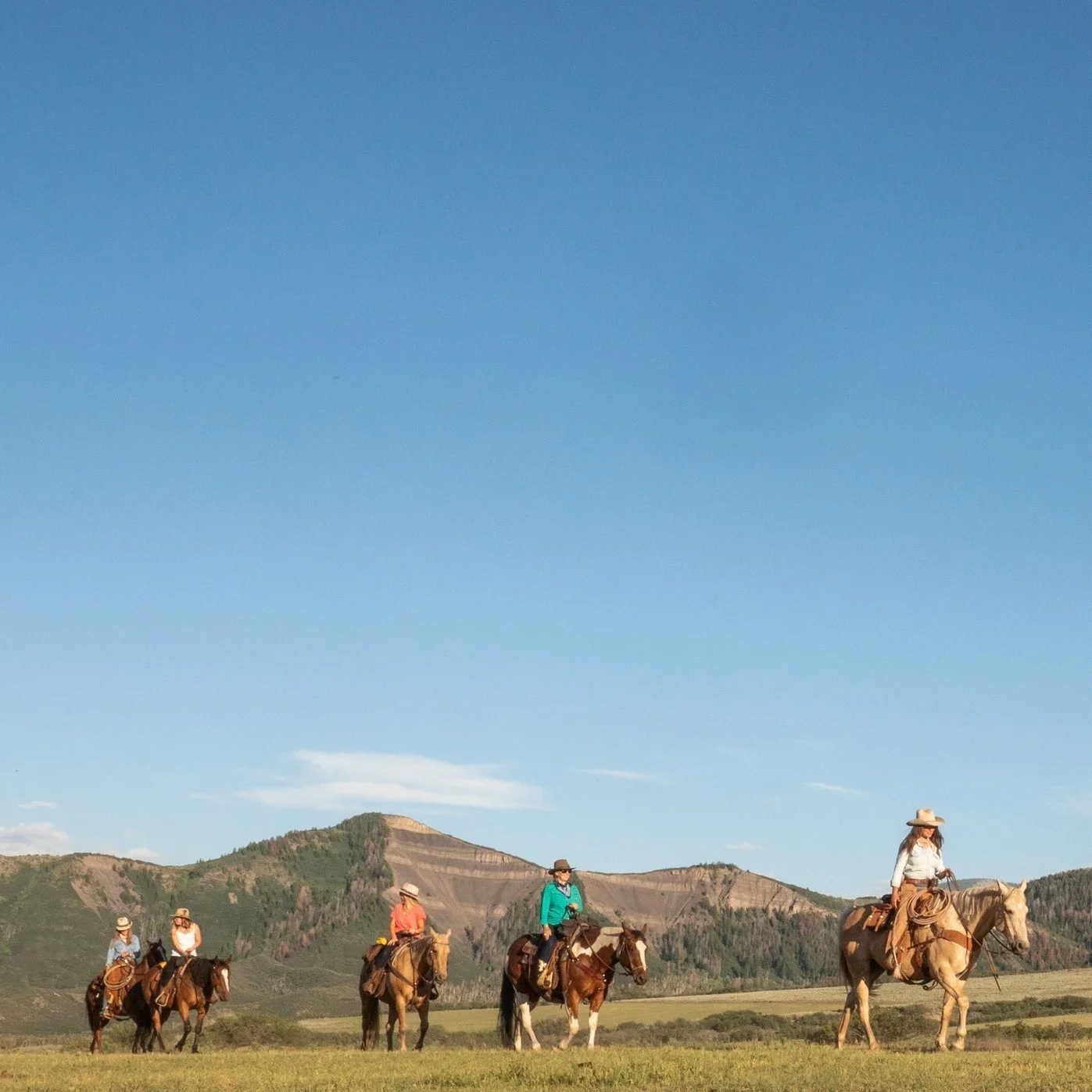 Four women riding horses in a grassy field with mountains in the background under a clear blue sky.