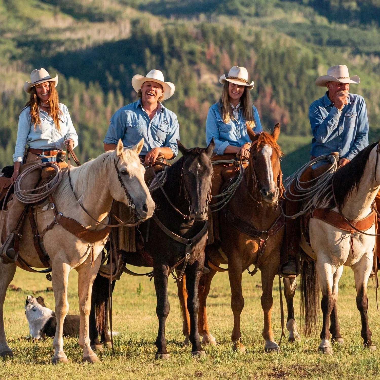 Four people riding horses in a field, wearing cowboy hats and casual western clothing, with a dog sitting on the ground nearby and a scenic mountain background.
