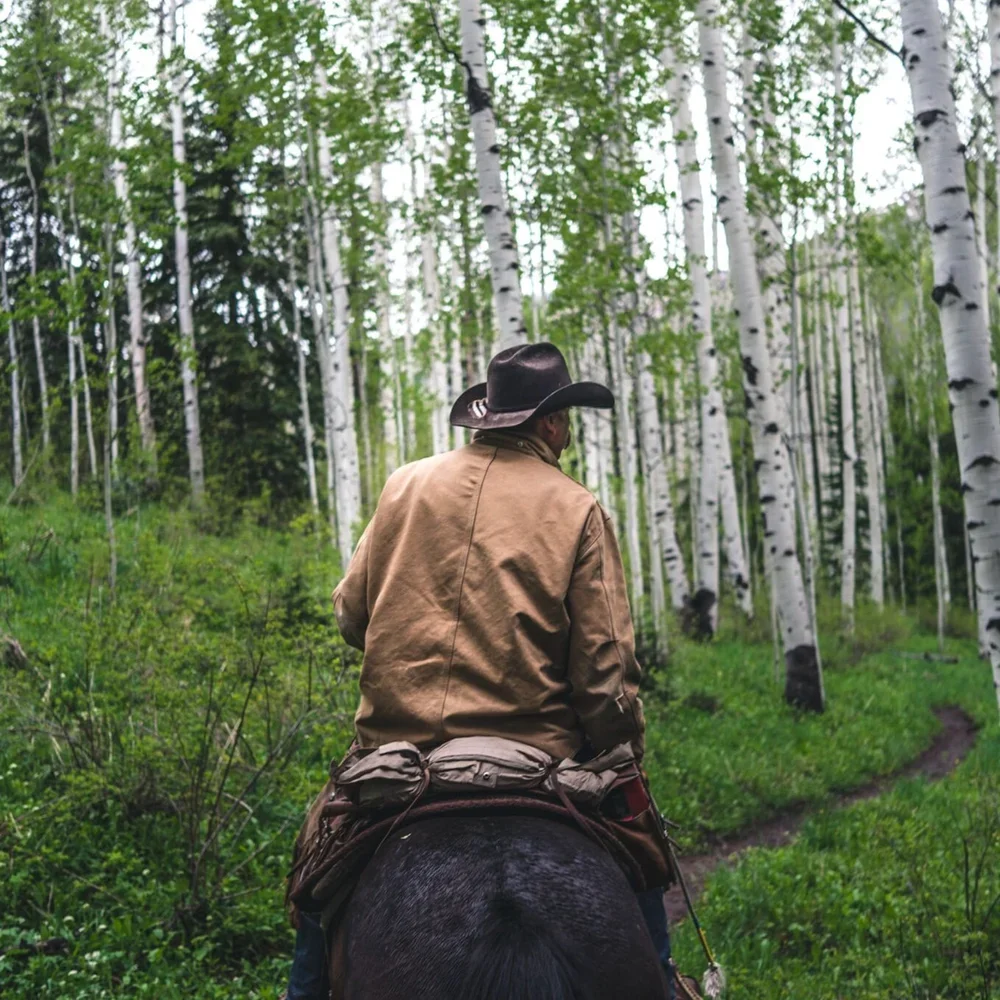 A man wearing a cowboy hat and tan jacket riding a horse through a lush green forest of tall, slender white-barked trees.