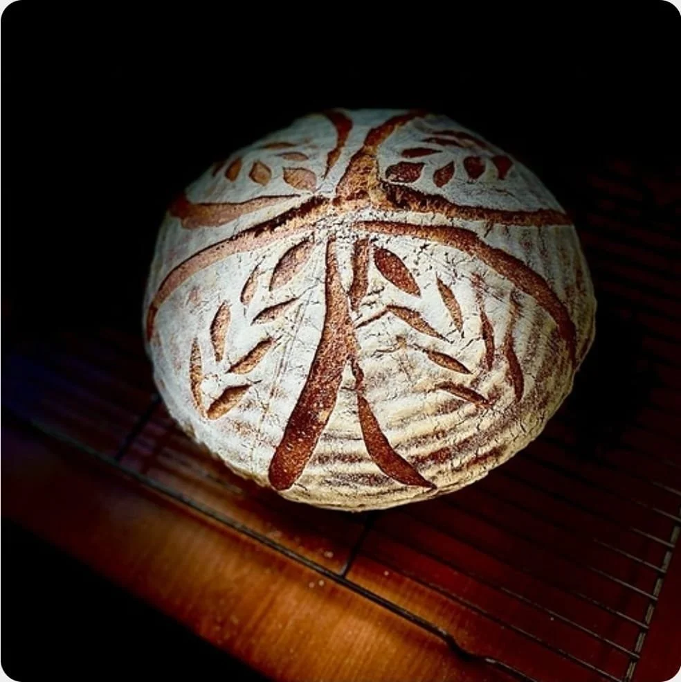 PHOTO-2025-12-27-11-44-17 (2).jpg