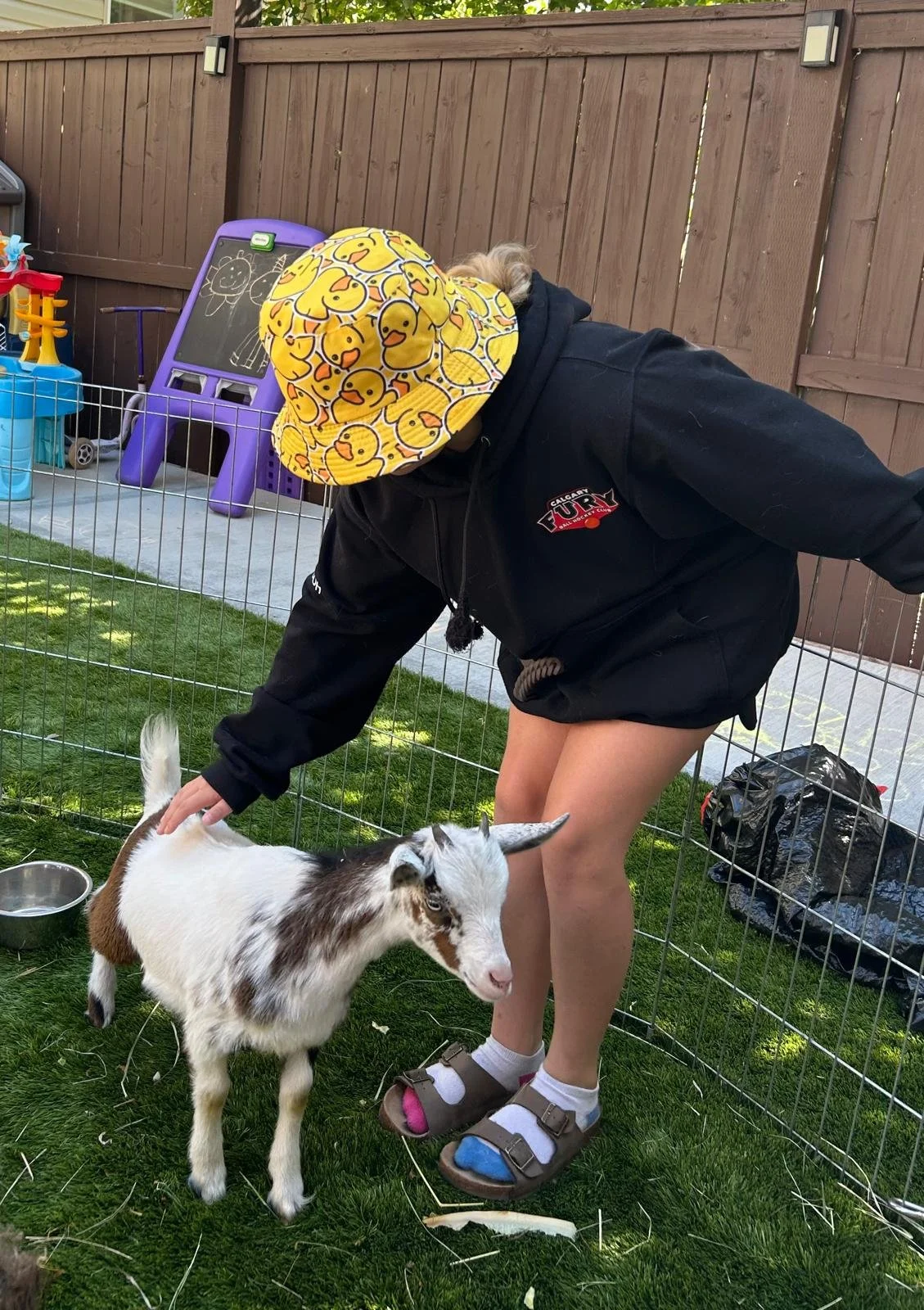 WhatsApp Image 2026-01-02 at 4.44.46 PM.jpeg