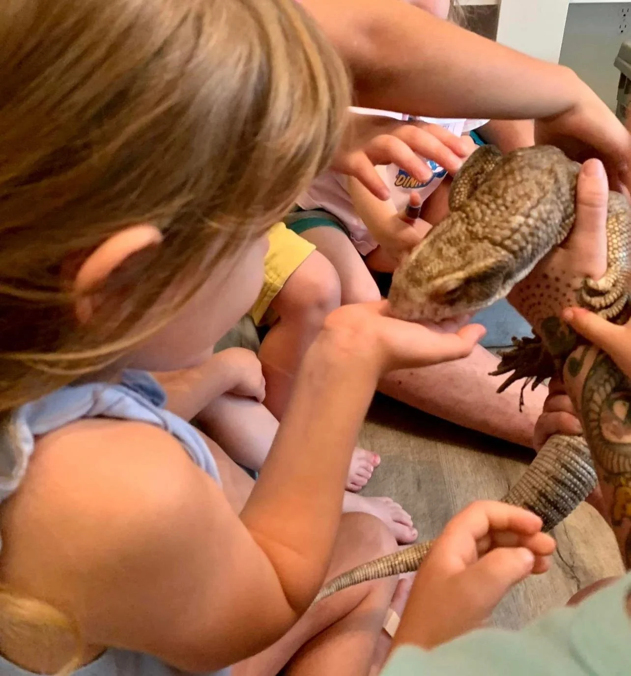 WhatsApp Image 2026-01-02 at 11.57.39 AM.jpeg