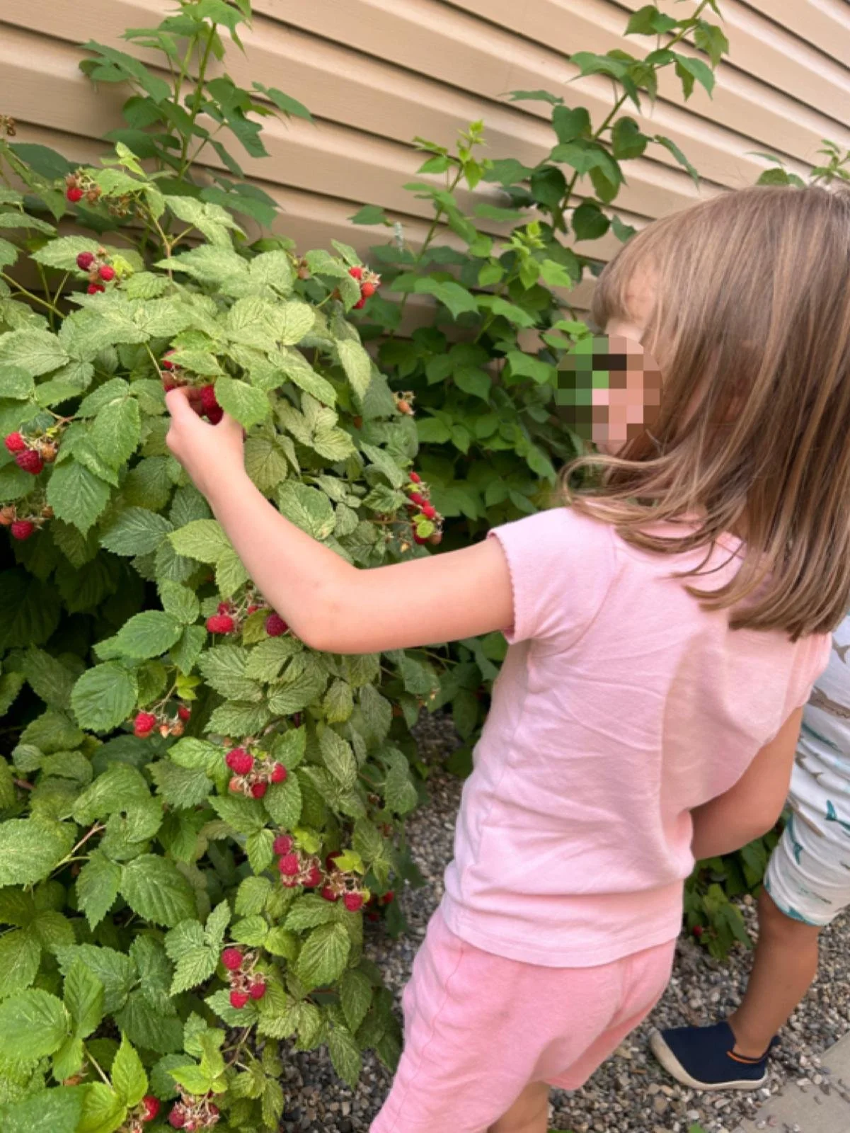 WhatsApp Image 2026-01-02 at 5.17.39 PM.jpeg