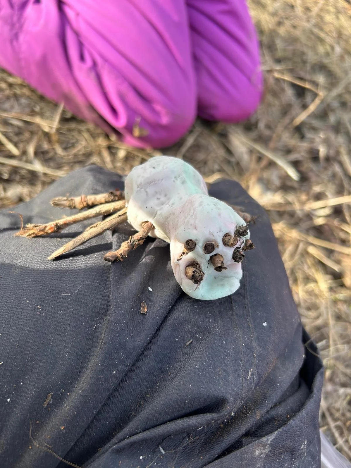 WhatsApp Image 2026-01-02 at 5.11.22 PM.jpeg