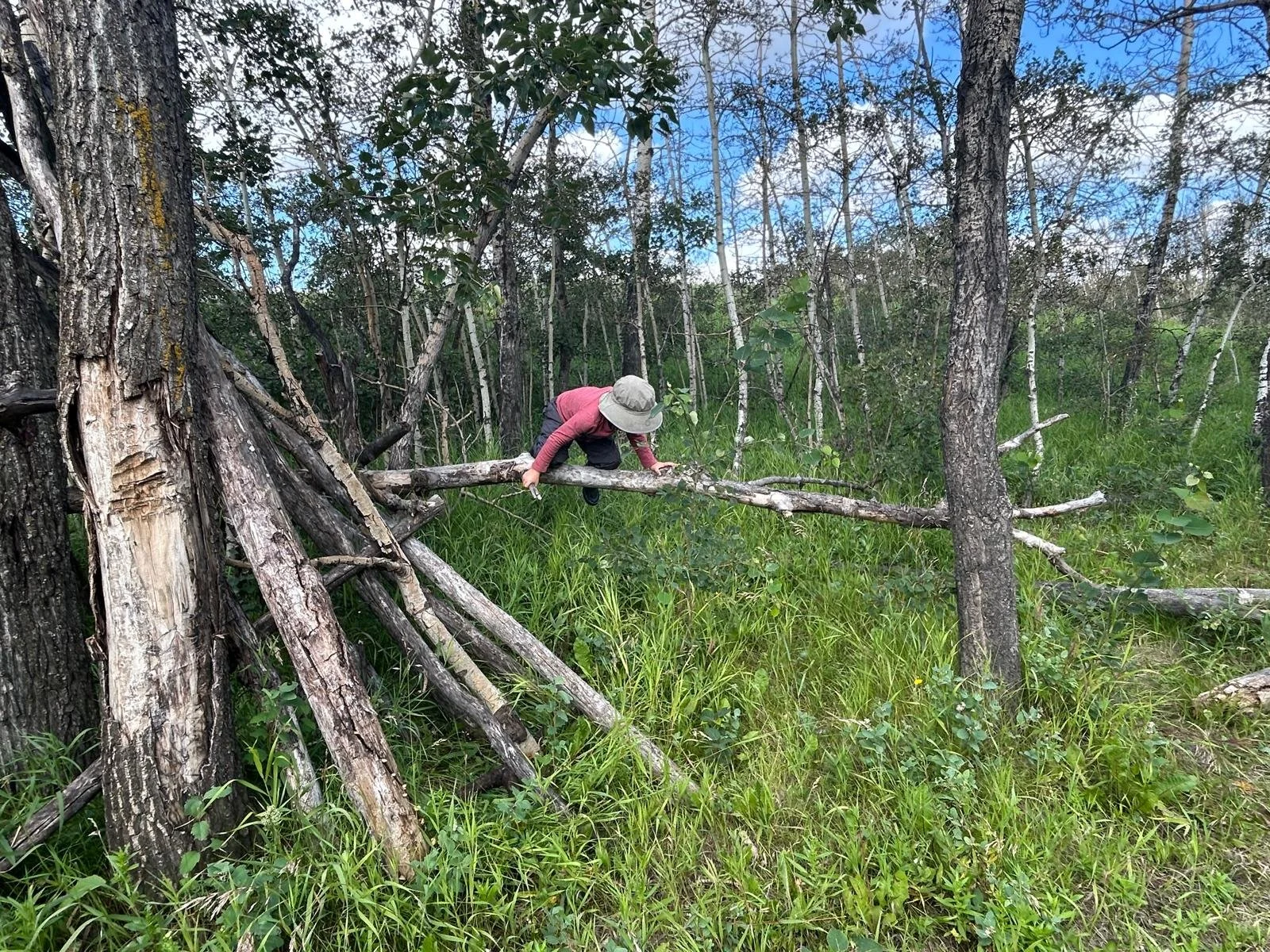 WhatsApp Image 2026-01-02 at 10.13.37 AM.jpeg