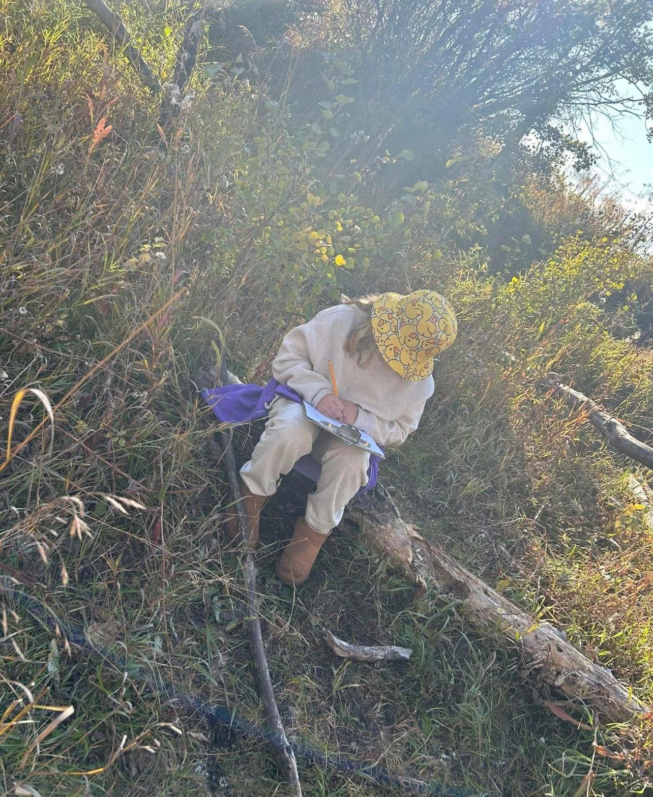 WhatsApp Image 2026-01-02 at 11.39.31 AM.jpeg