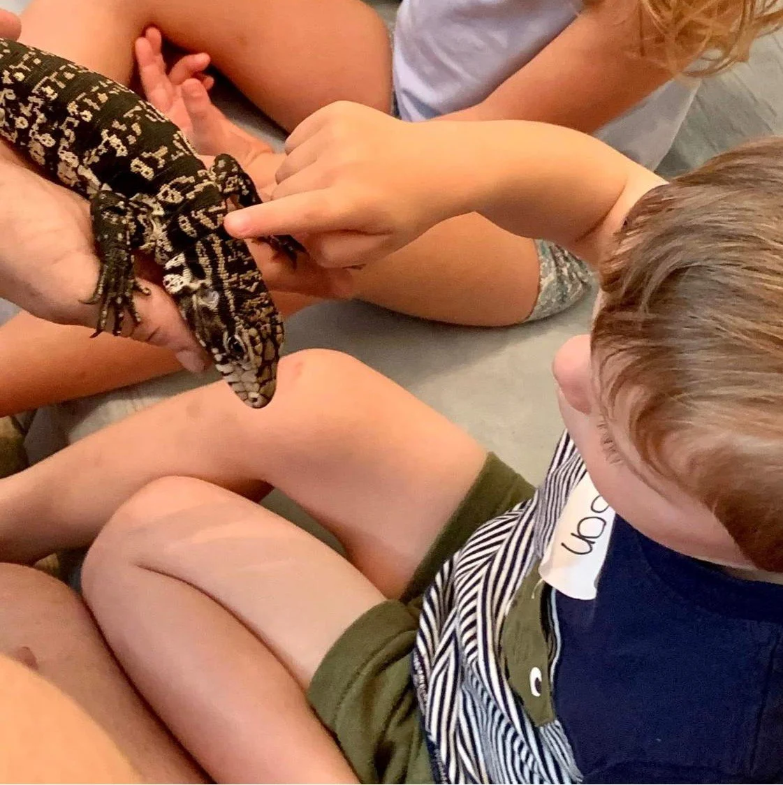 WhatsApp Image 2026-01-02 at 11.58.28 AM.jpeg