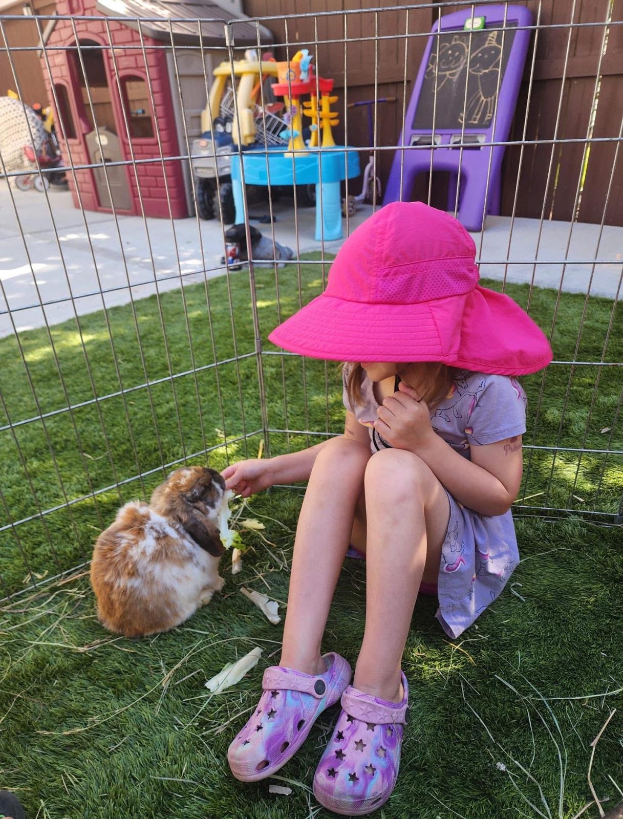 WhatsApp Image 2026-01-02 at 11.42.32 AM.jpeg